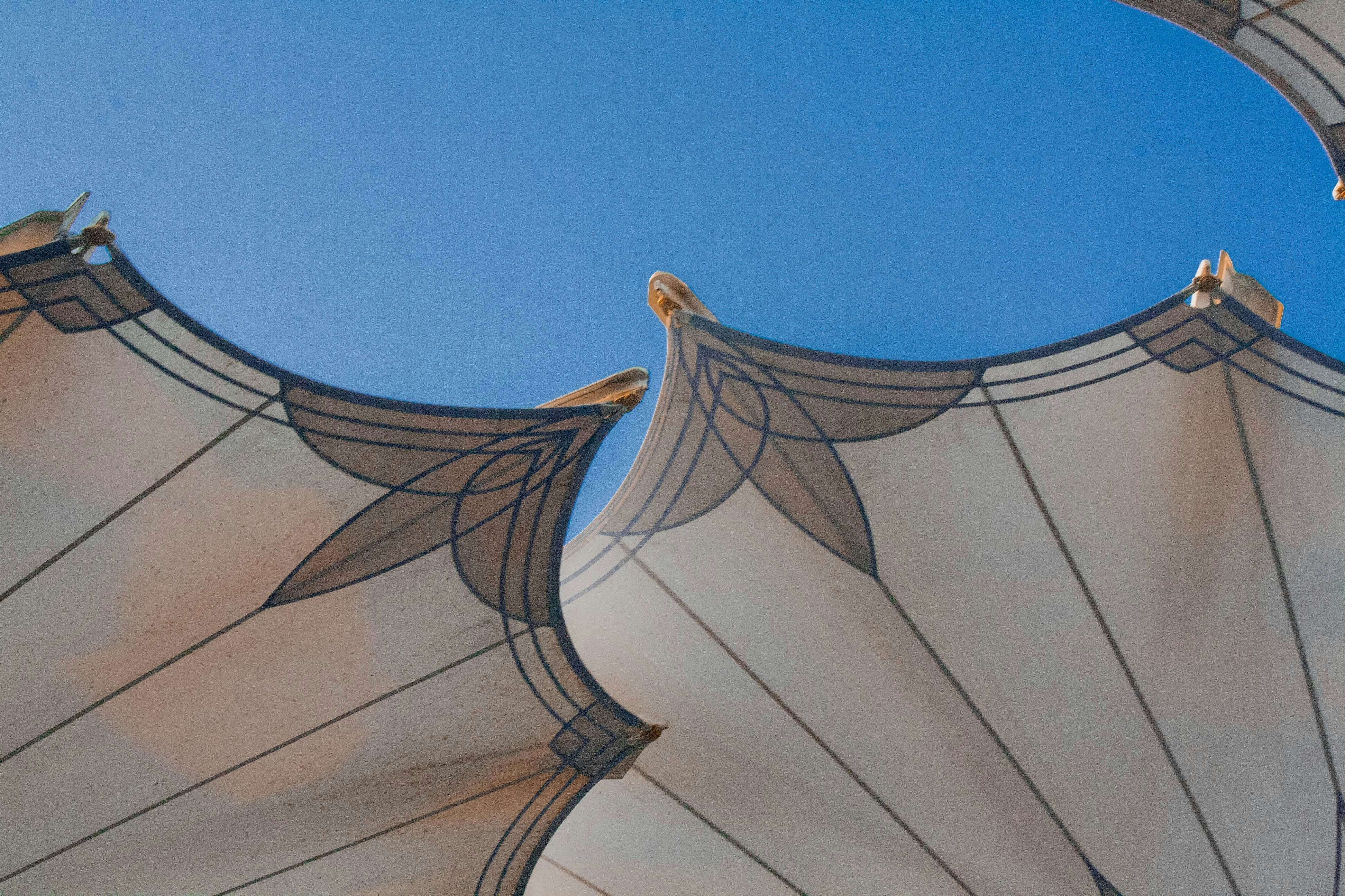 Photo by thelaibaali