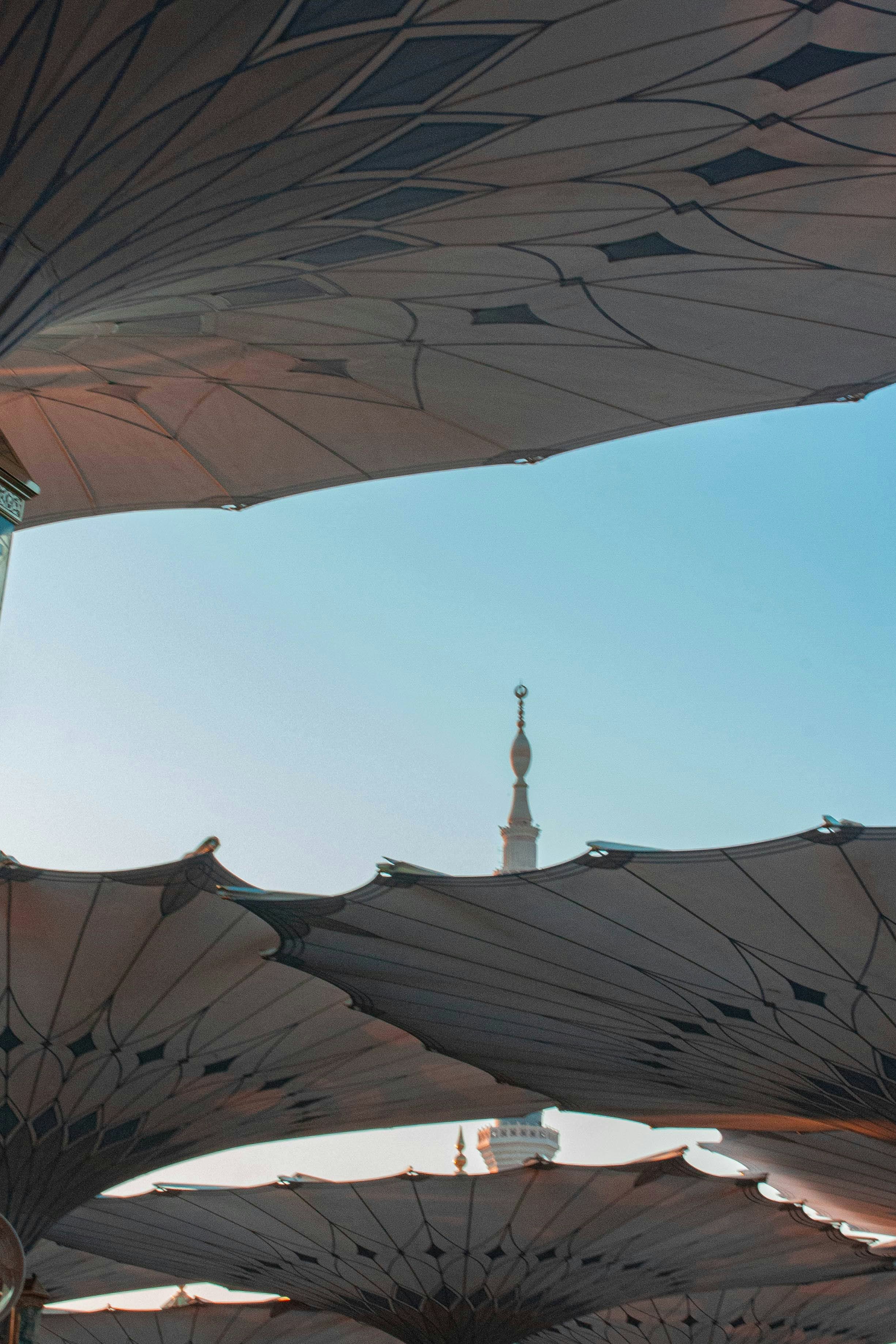 Eine Gruppe von Regenschirmen mit einem Gebäude im Hintergrund