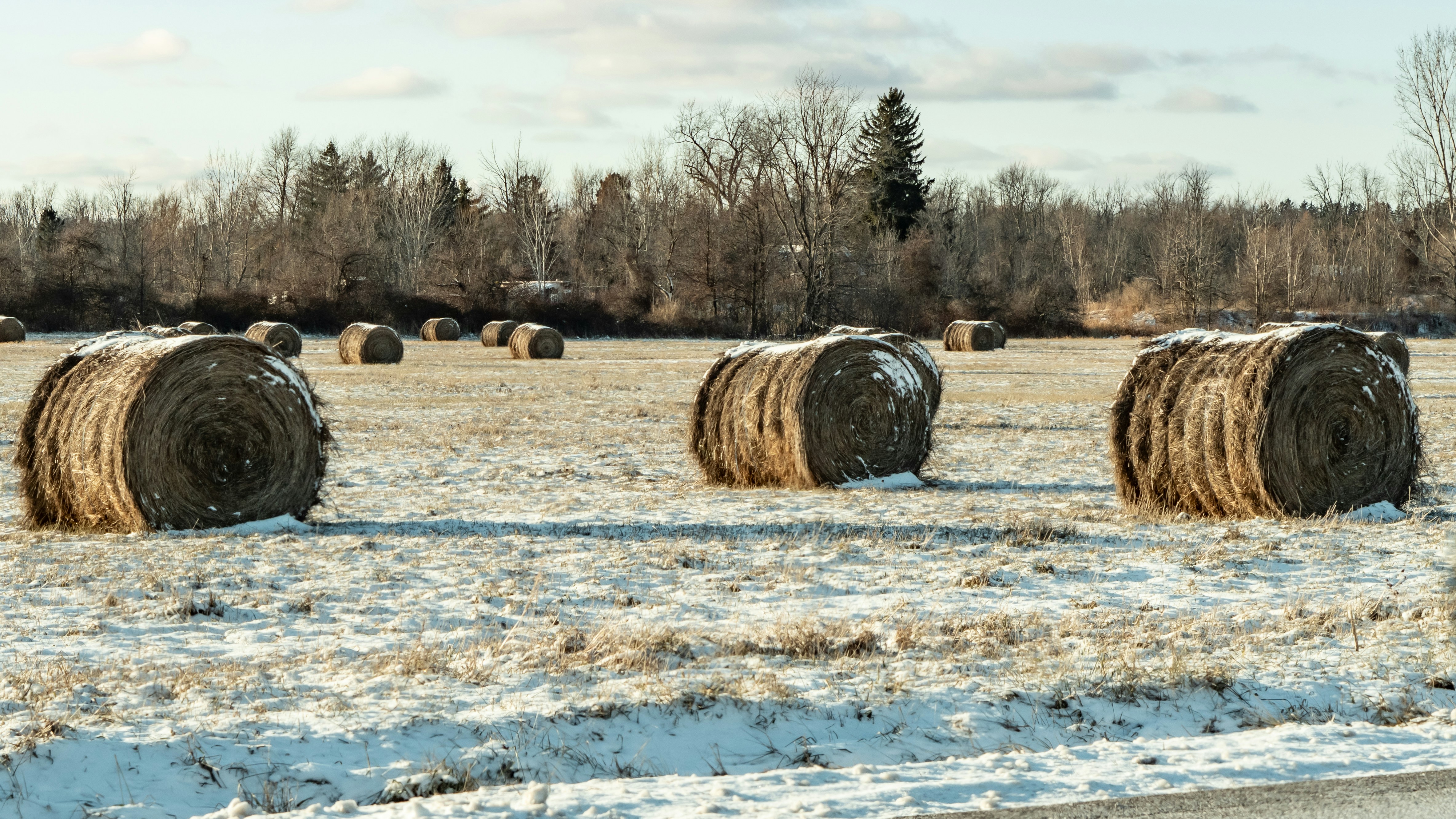 Um monte de fardos de feno sentados no meio de um campo