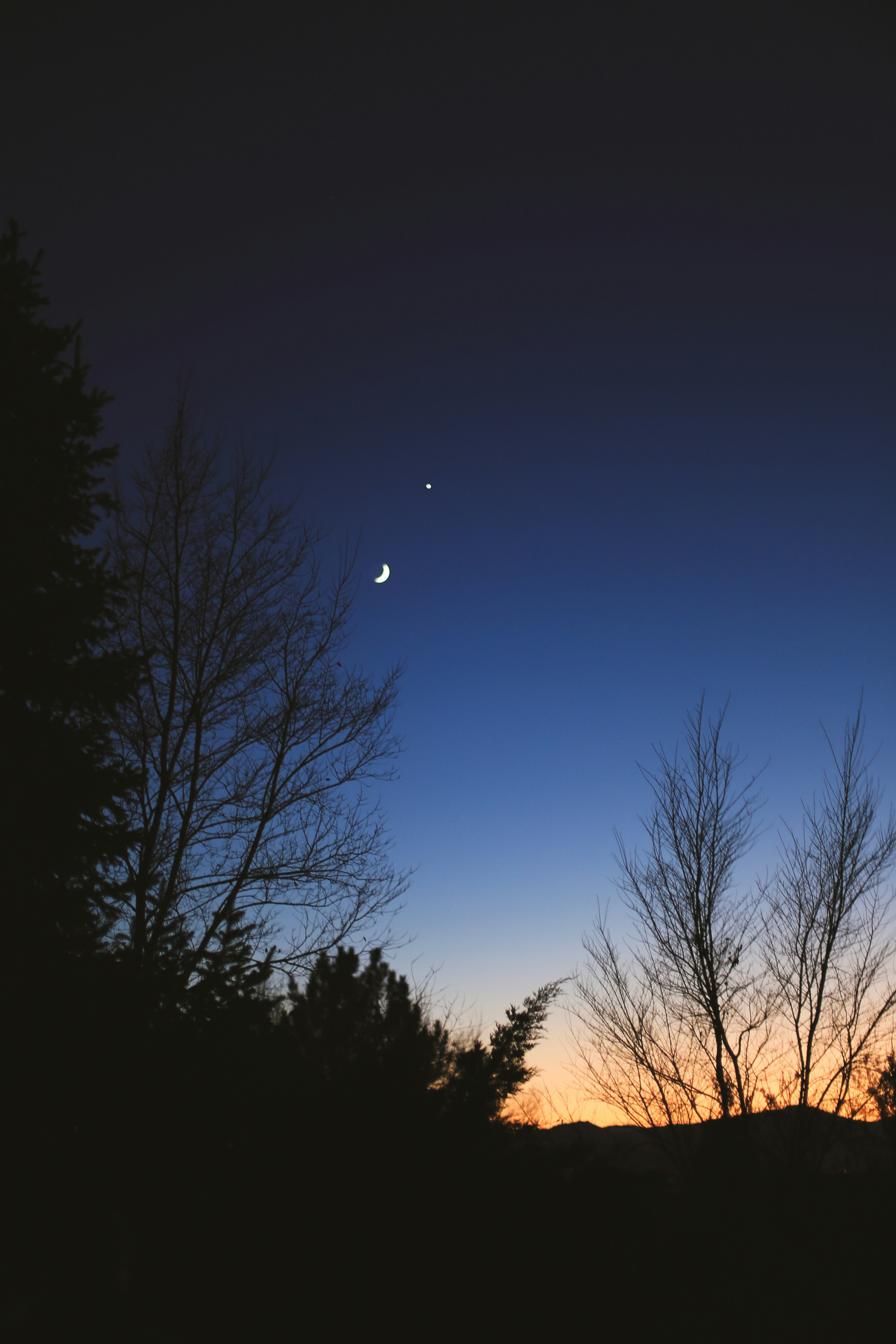 The moon and venus are seen in the night sky photo – Free Forest Image ...