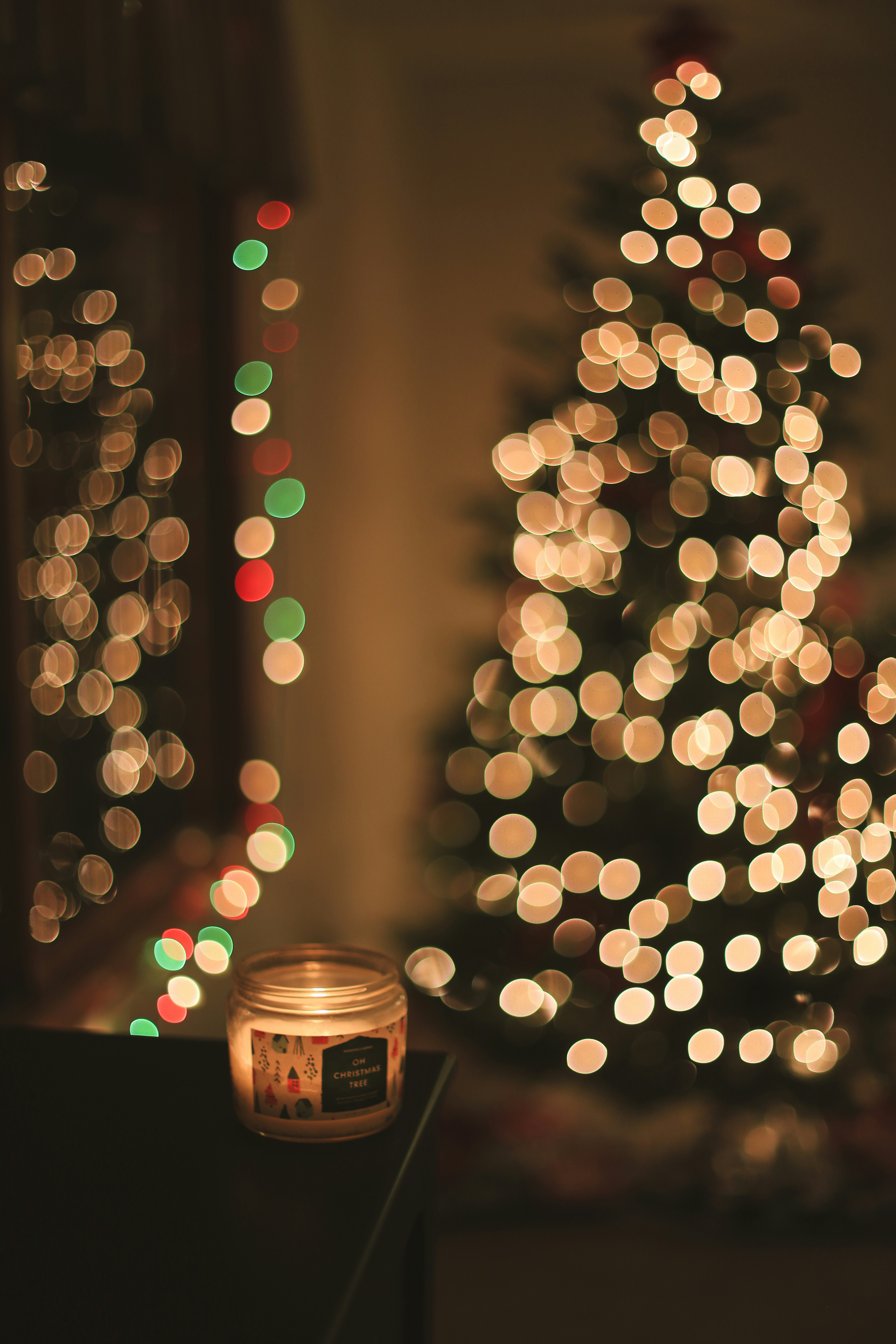 Photo by jessicalfadel