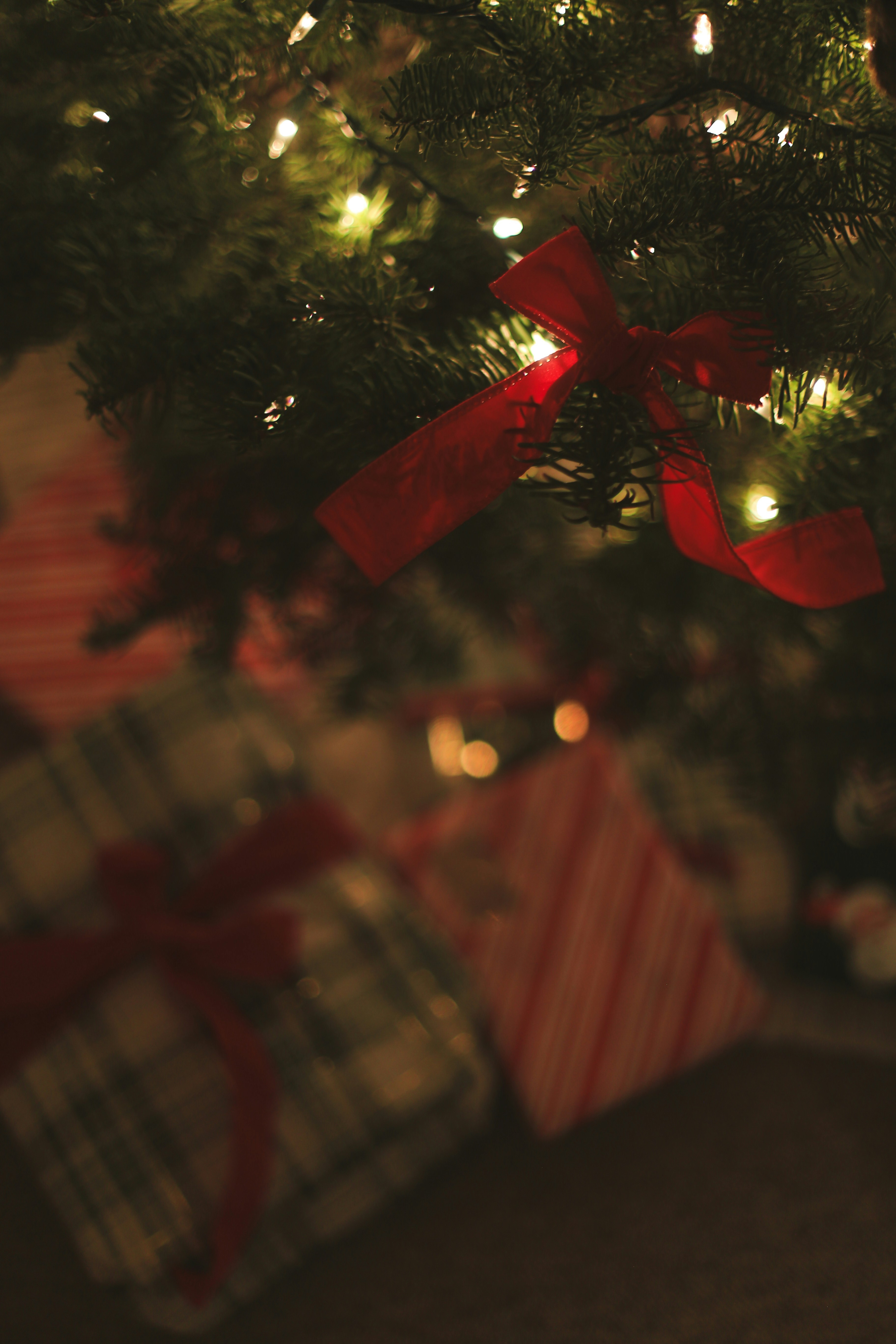 Photo by jessicalfadel