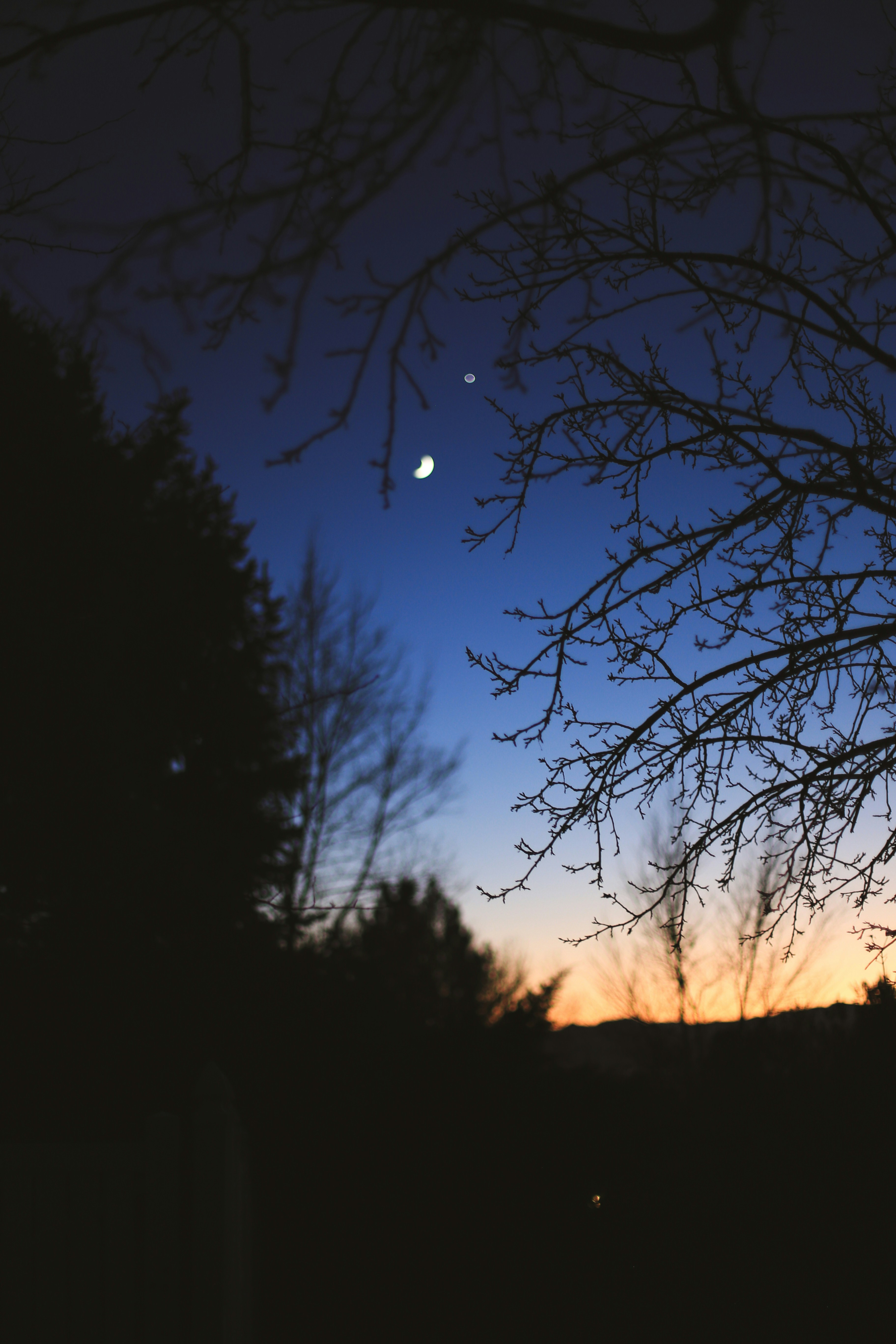Photo by jessicalfadel