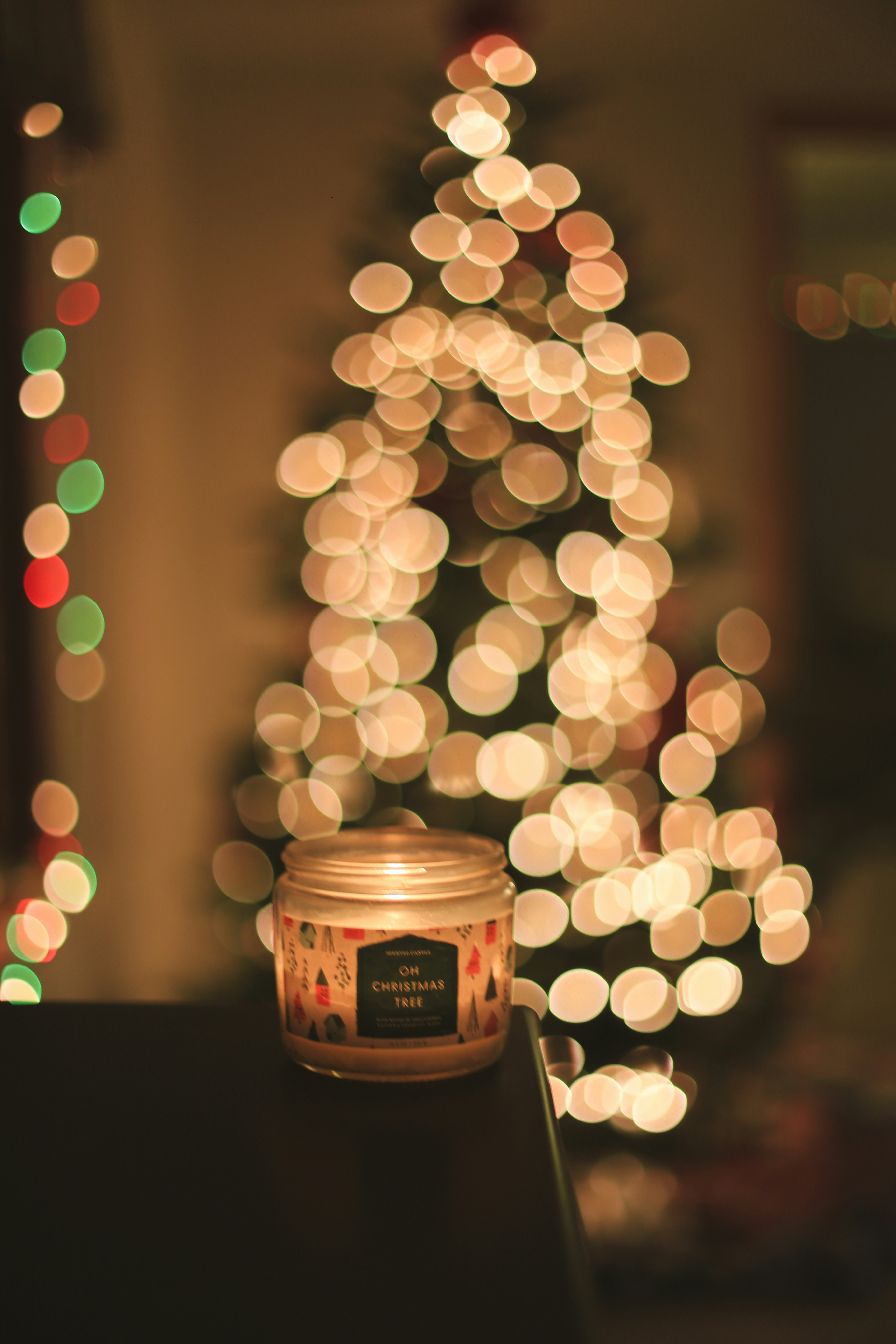 Photo by jessicalfadel