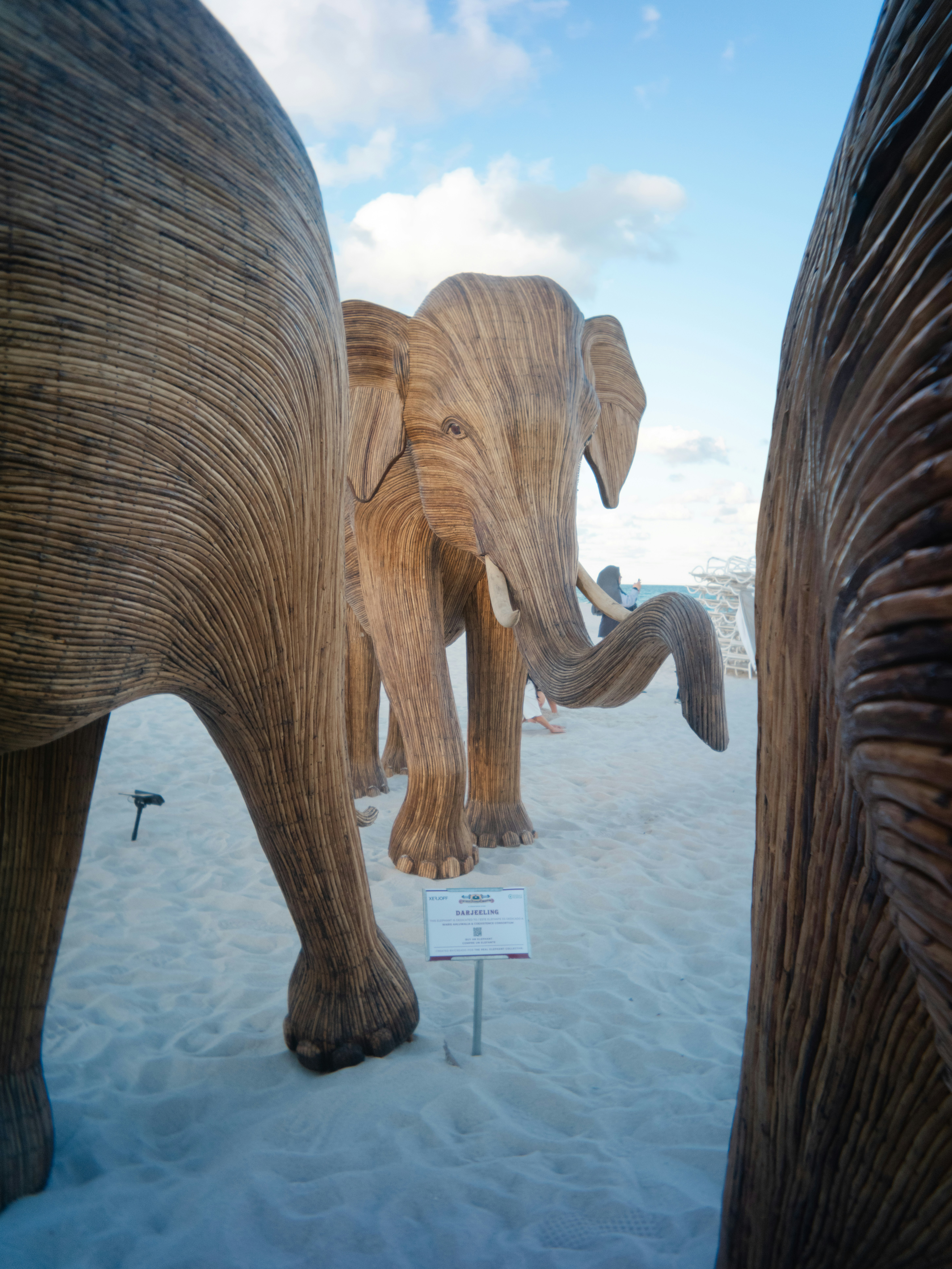 A couple of elephants that are standing in the snow