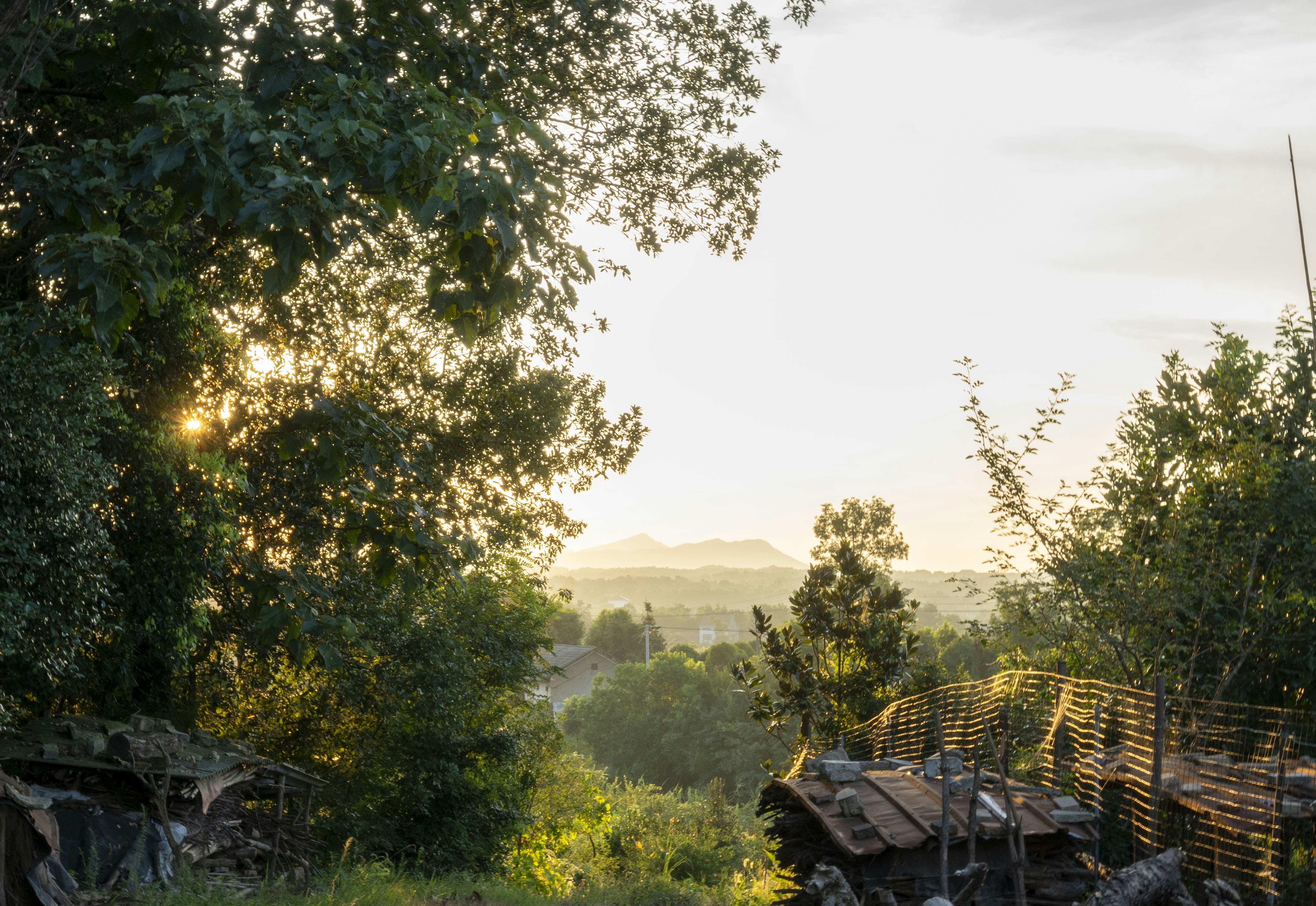 Photo by selfless123456