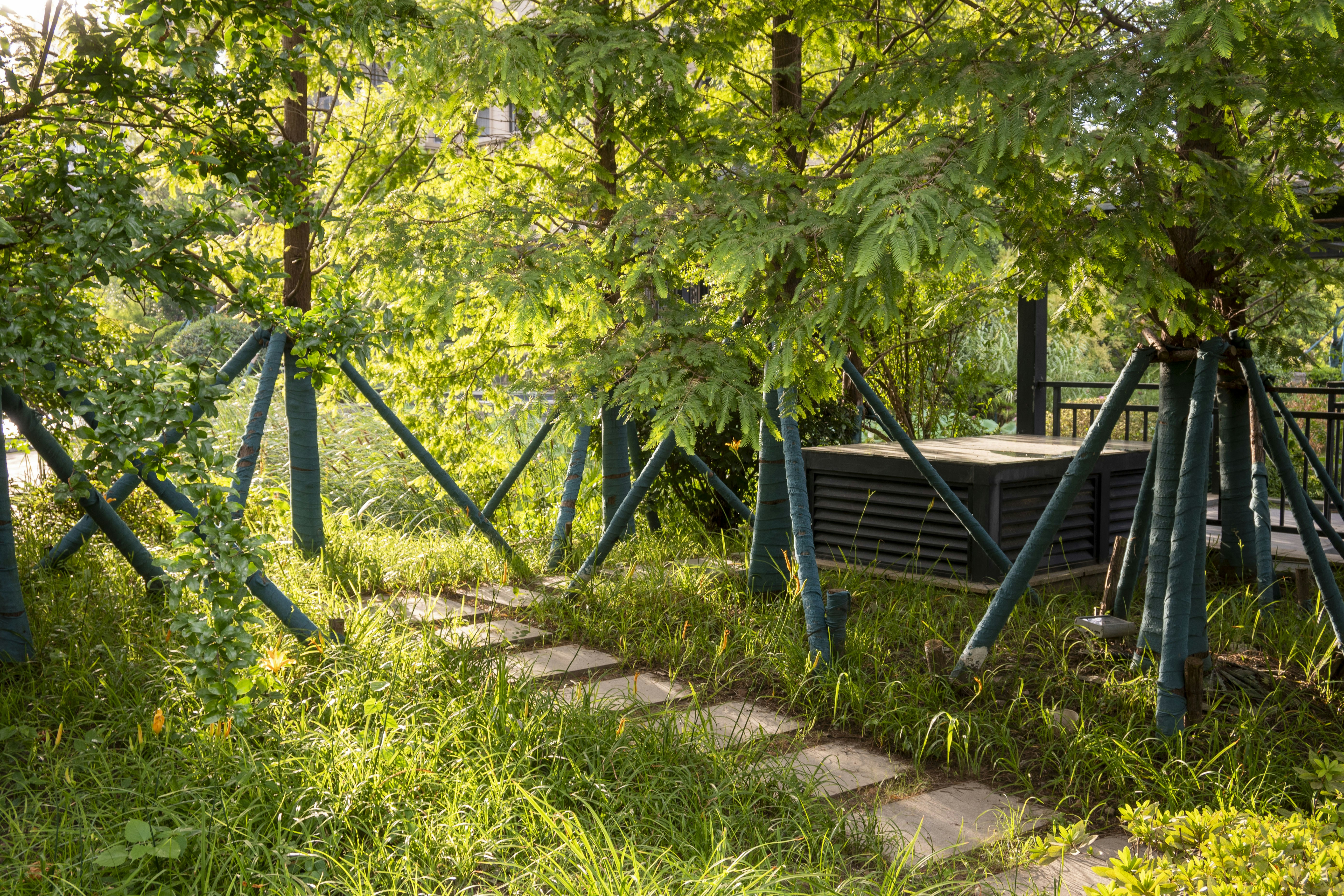 Photo by selfless123456