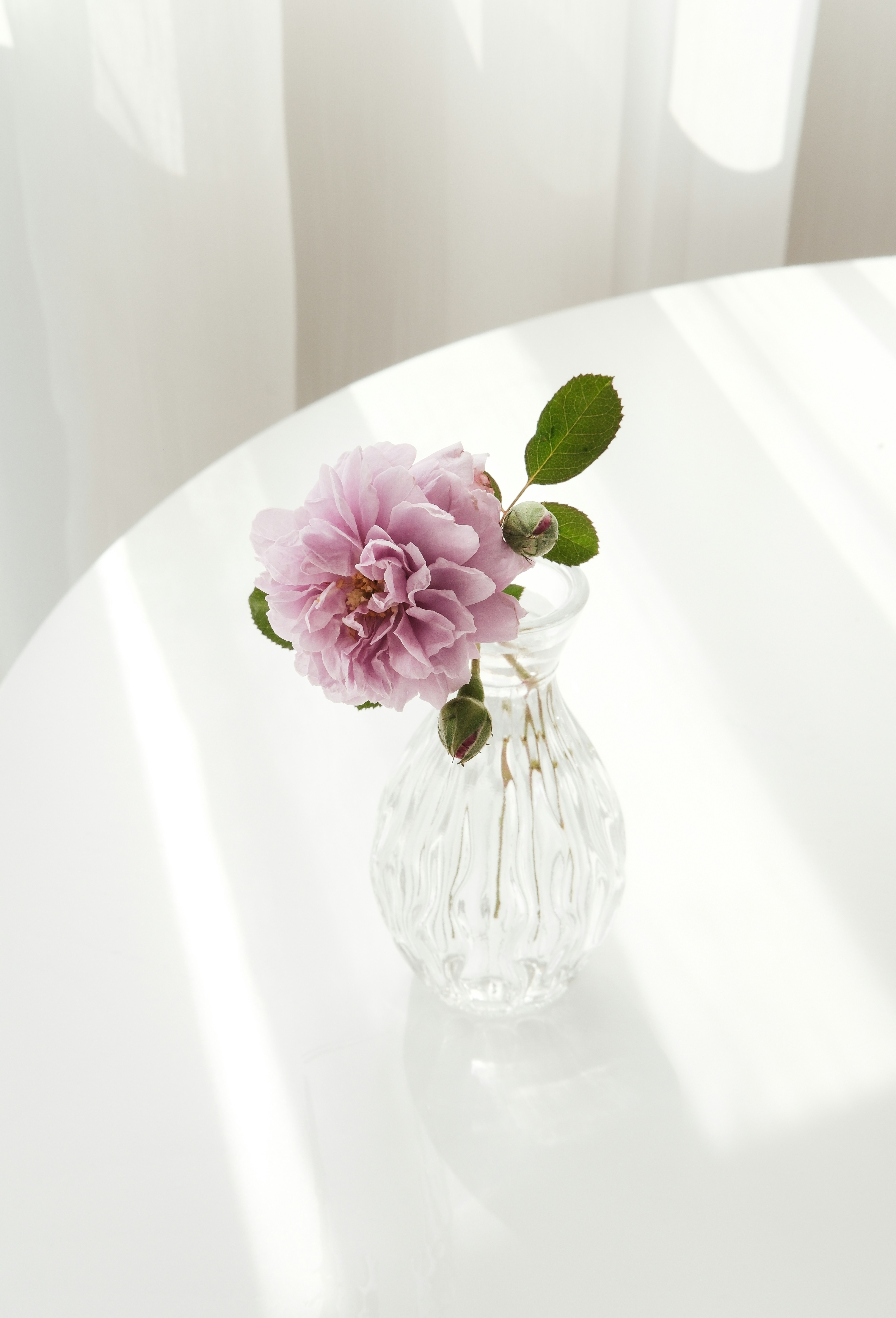 A white table with a glass vase with a flower in it