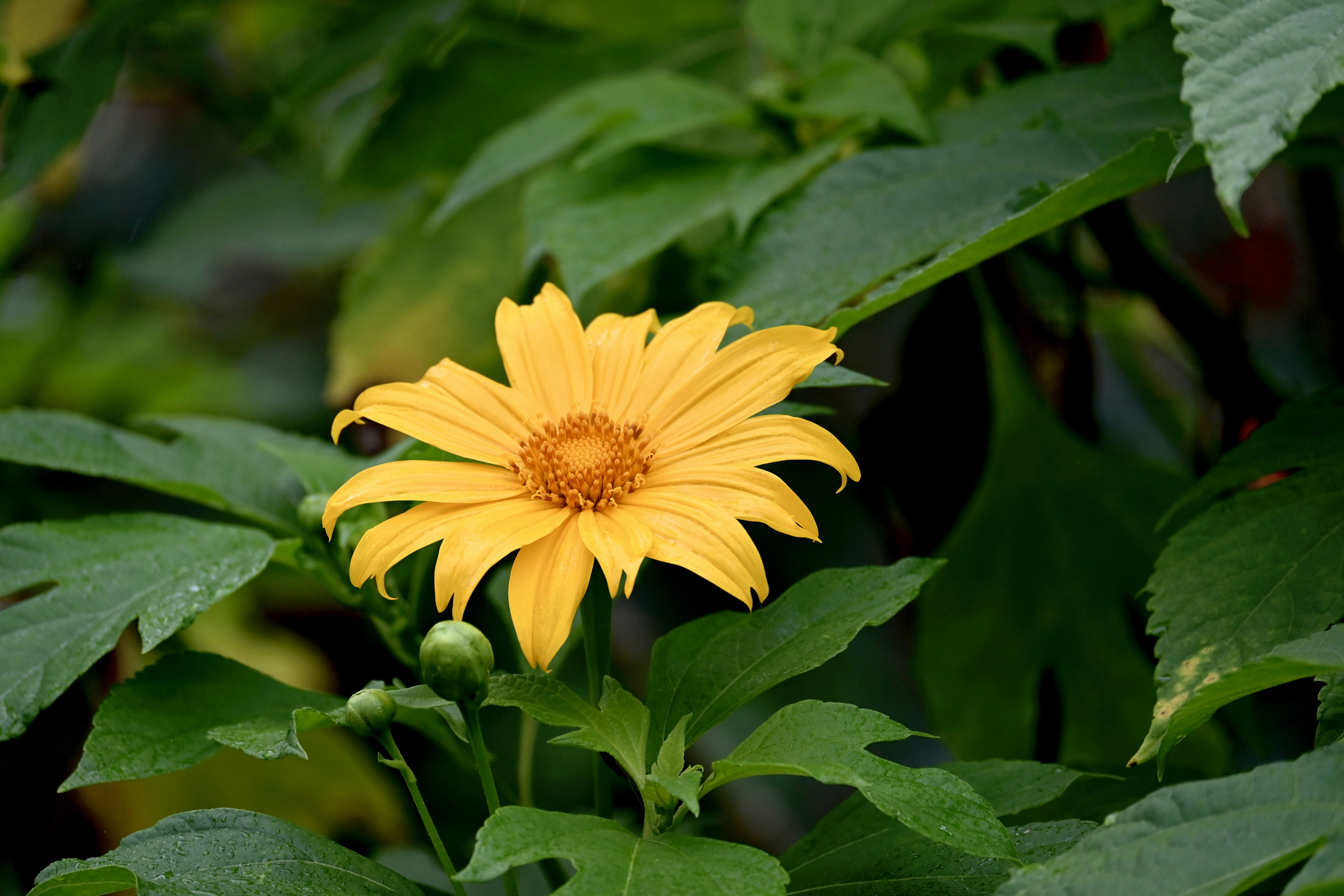 Photo by praswinprakashan