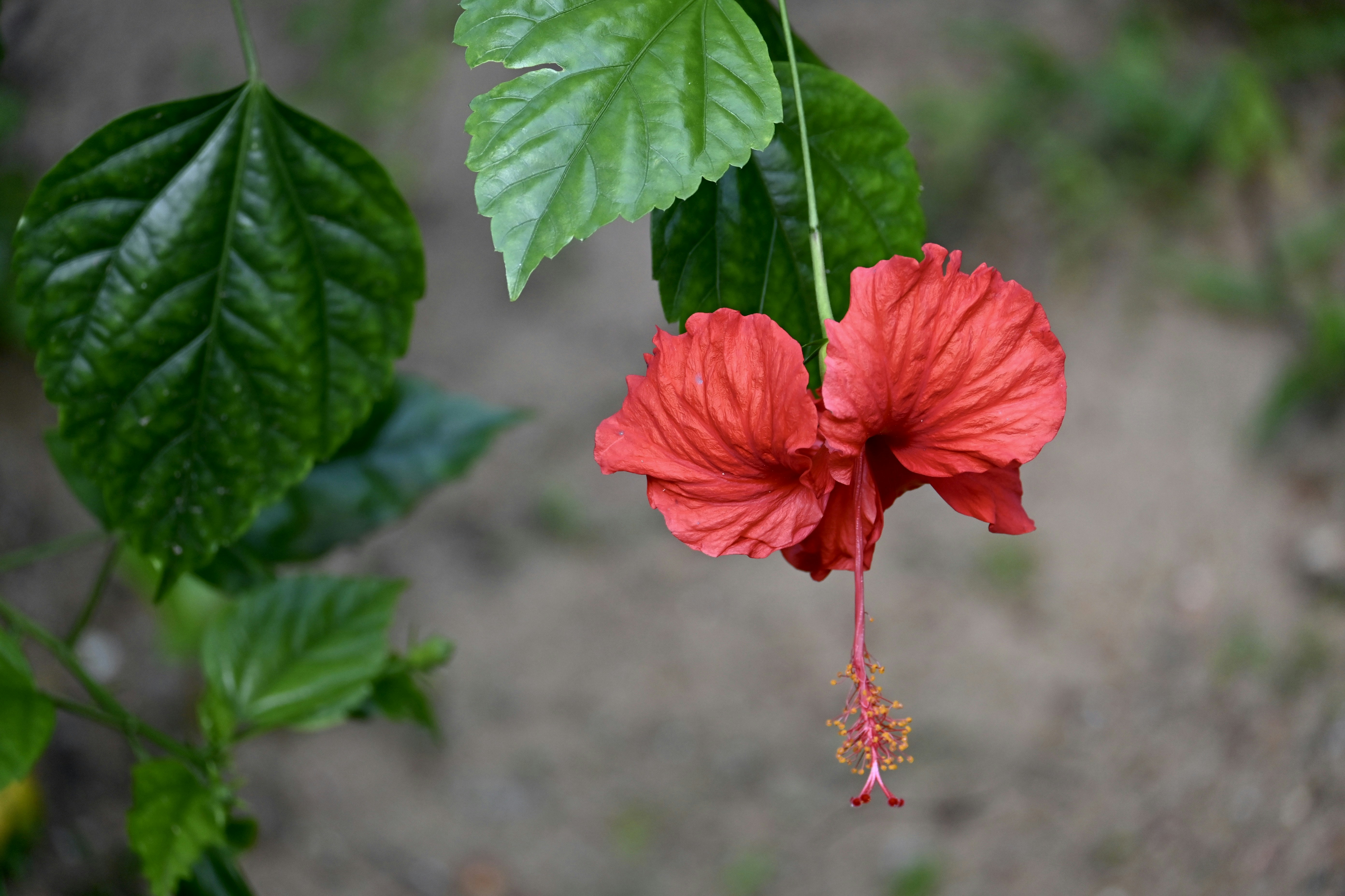 Photo by praswinprakashan