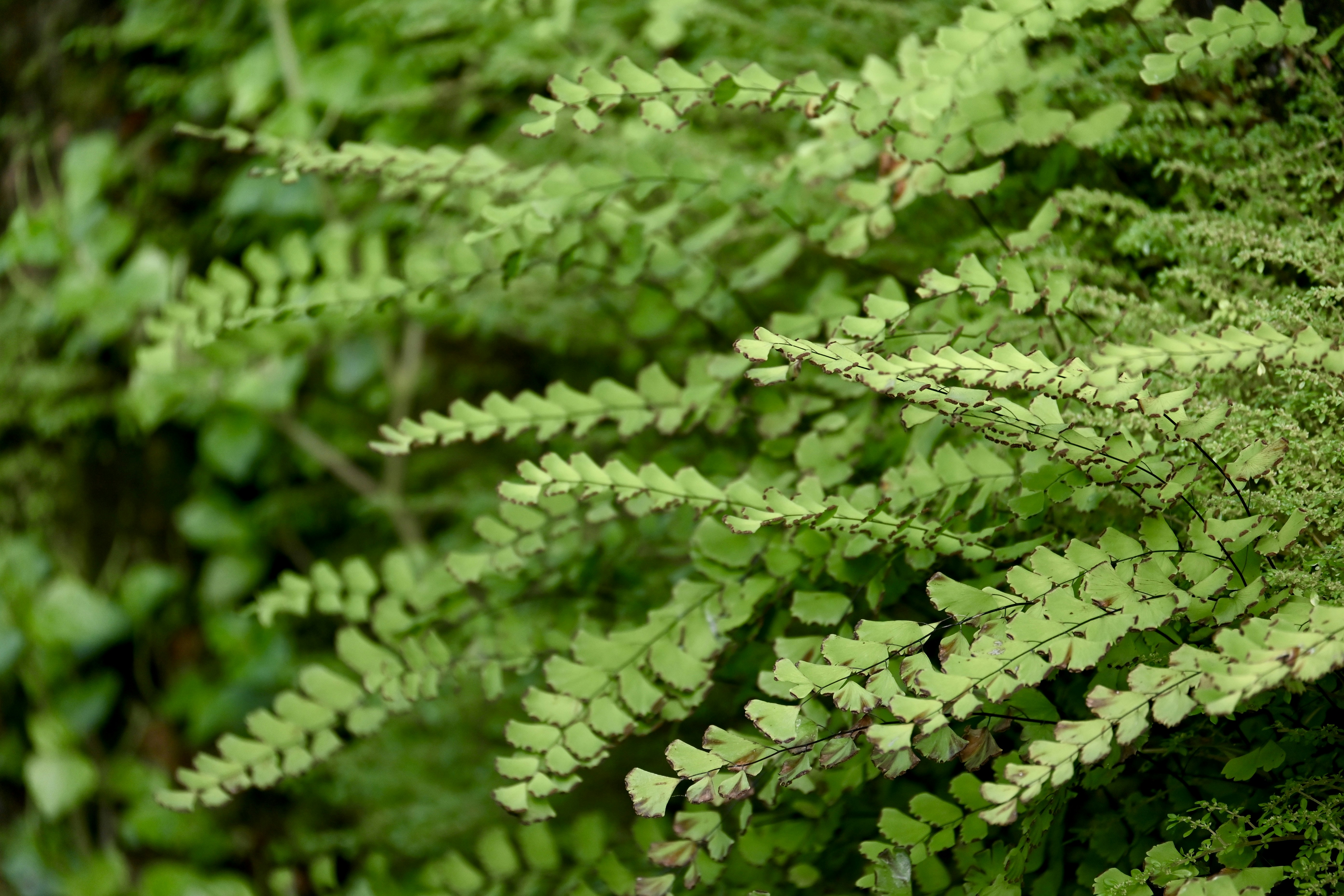 Photo by praswinprakashan