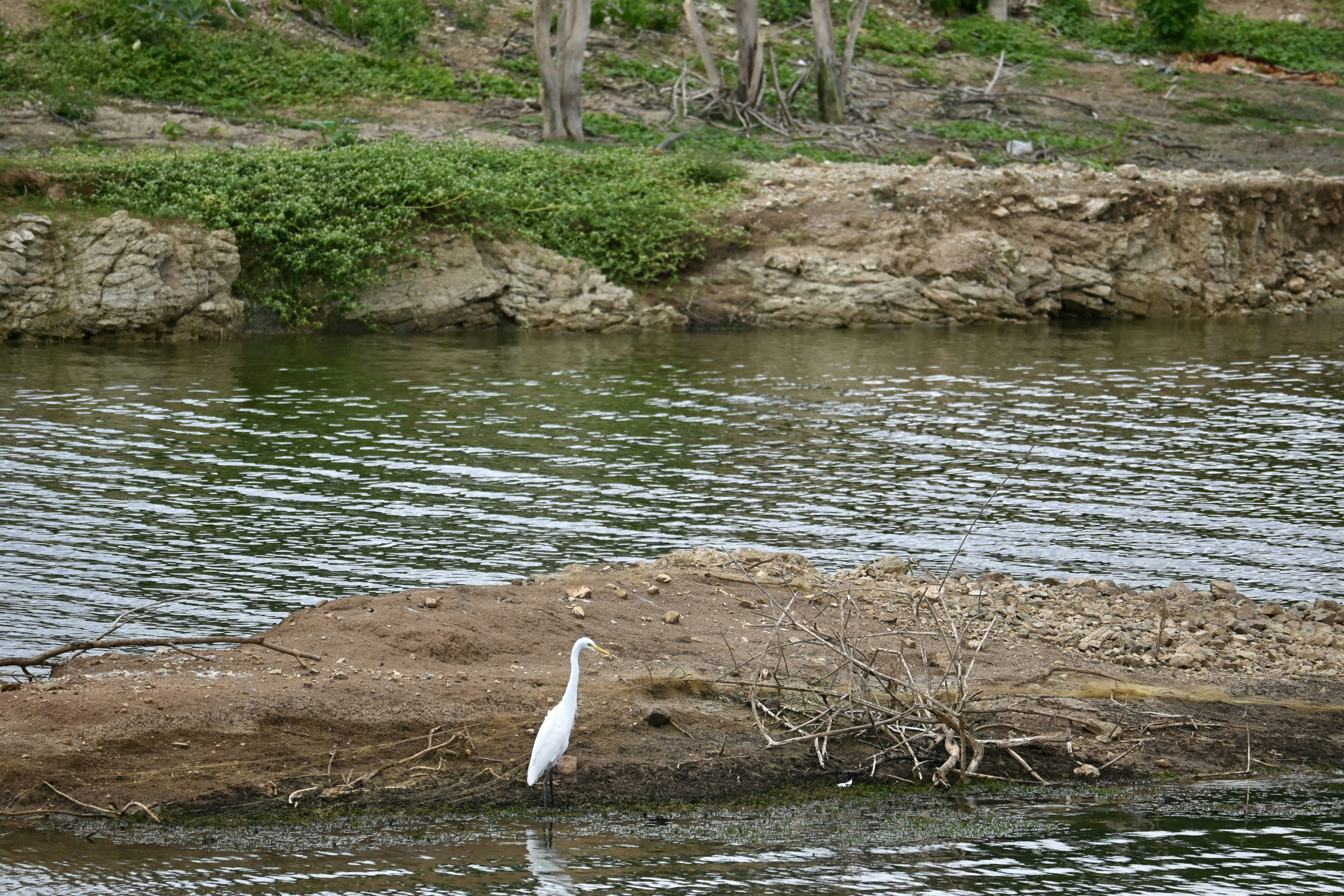 Photo by praswinprakashan