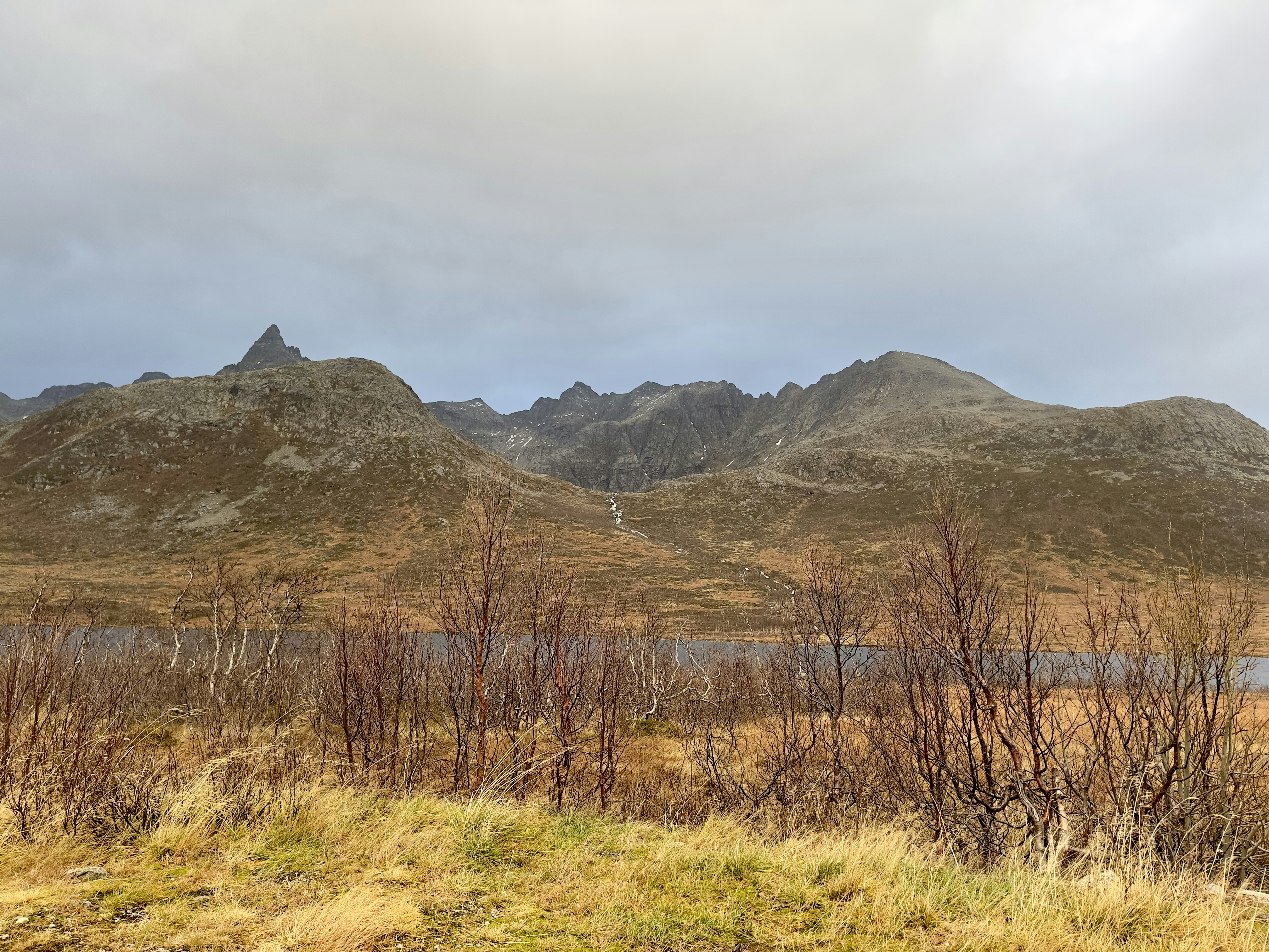 Photo by upendrawanmali