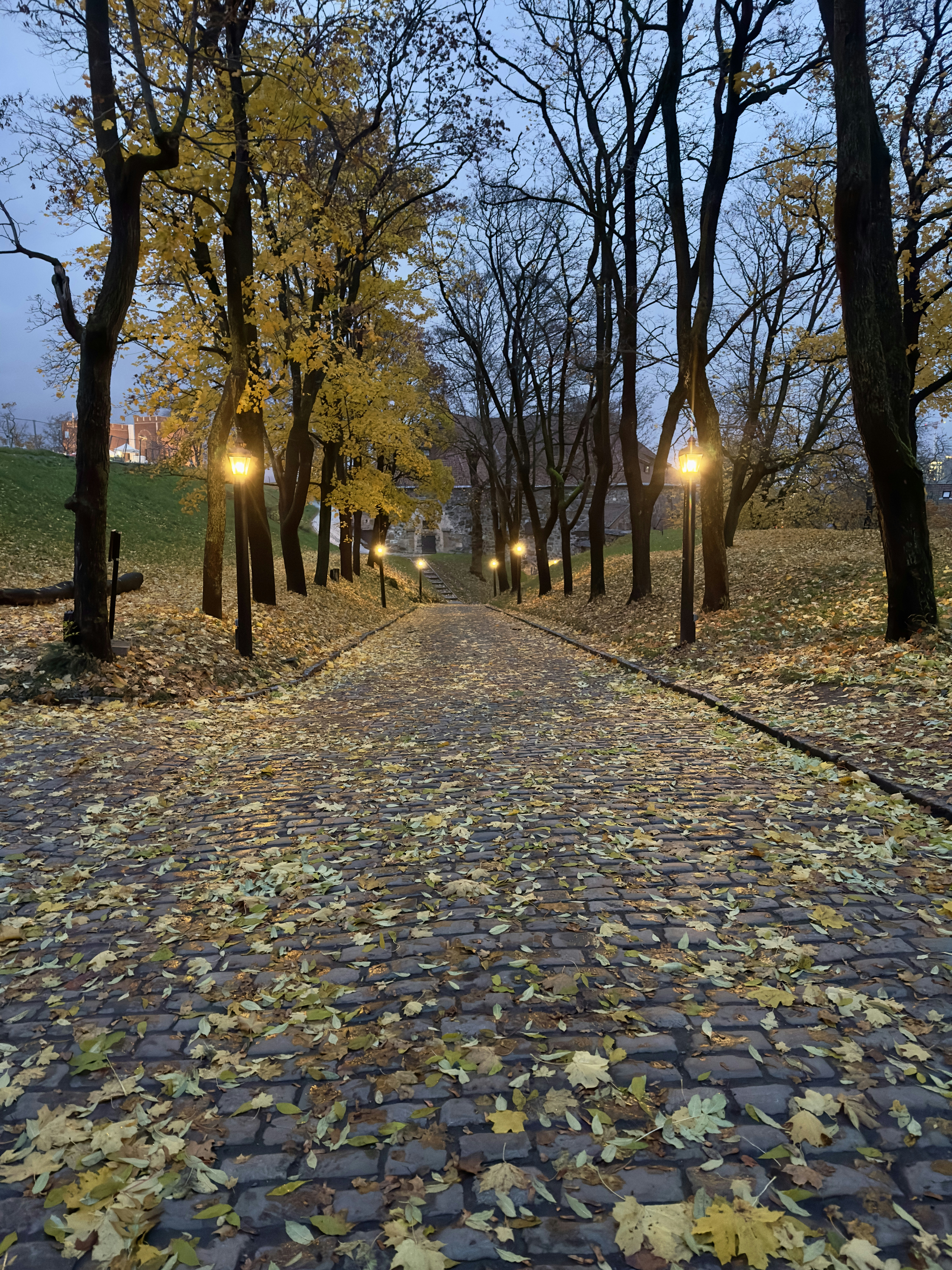 Photo by upendrawanmali