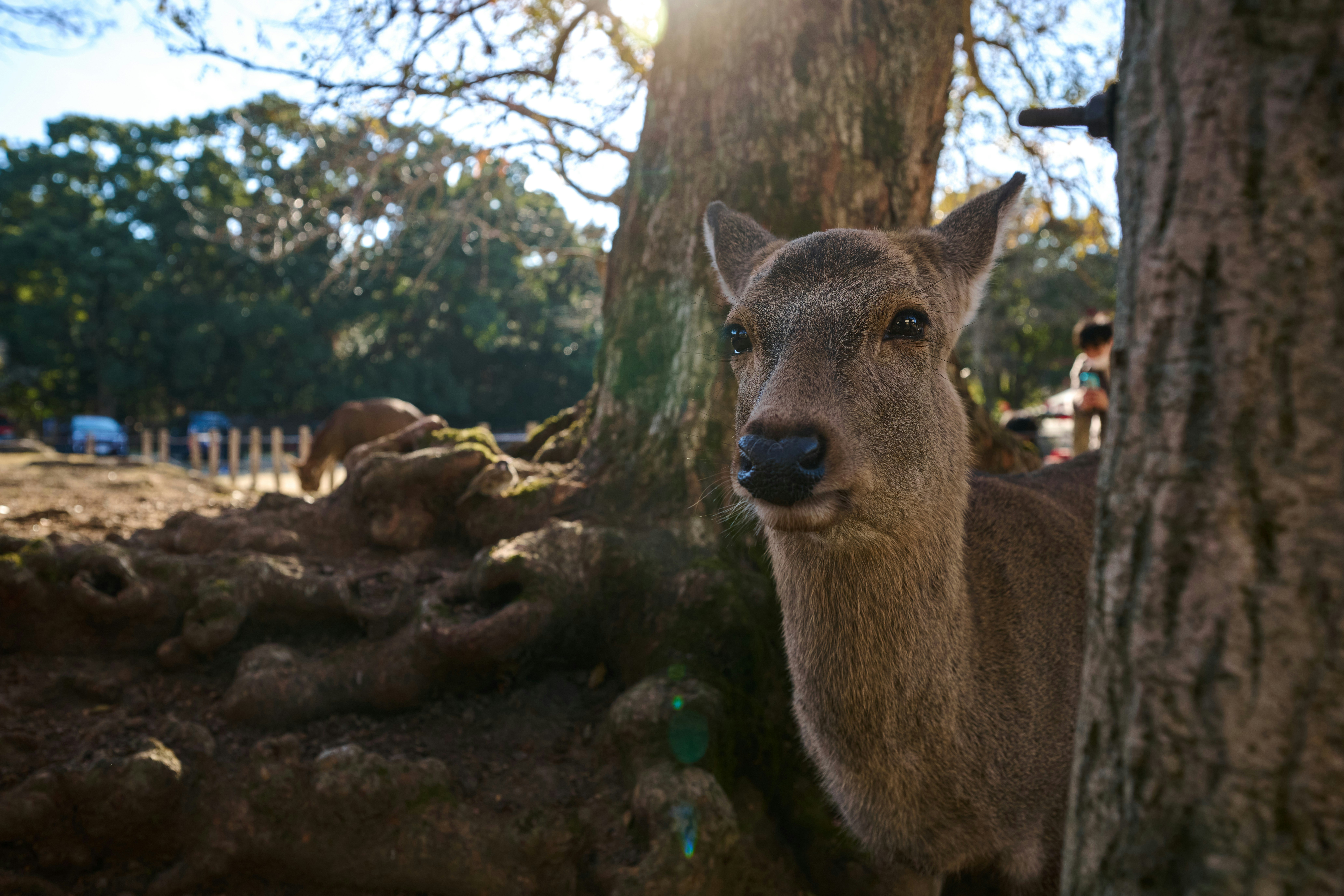 Photo by shipduck
