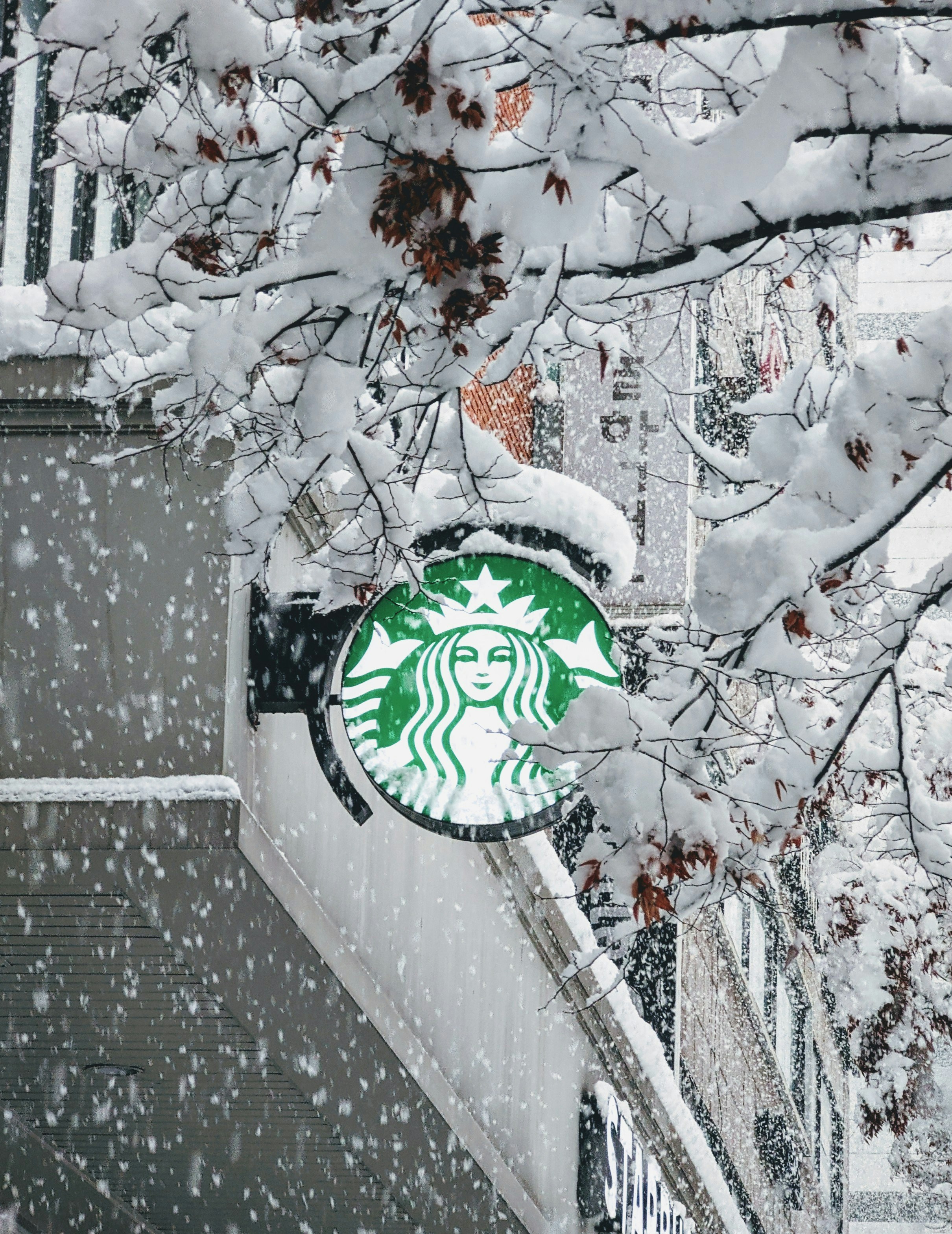 스타벅스 2026 다이어리 실물 색상 비교 및 윈터 프리퀀시 가습기 불량 확인법 관련 이미지1