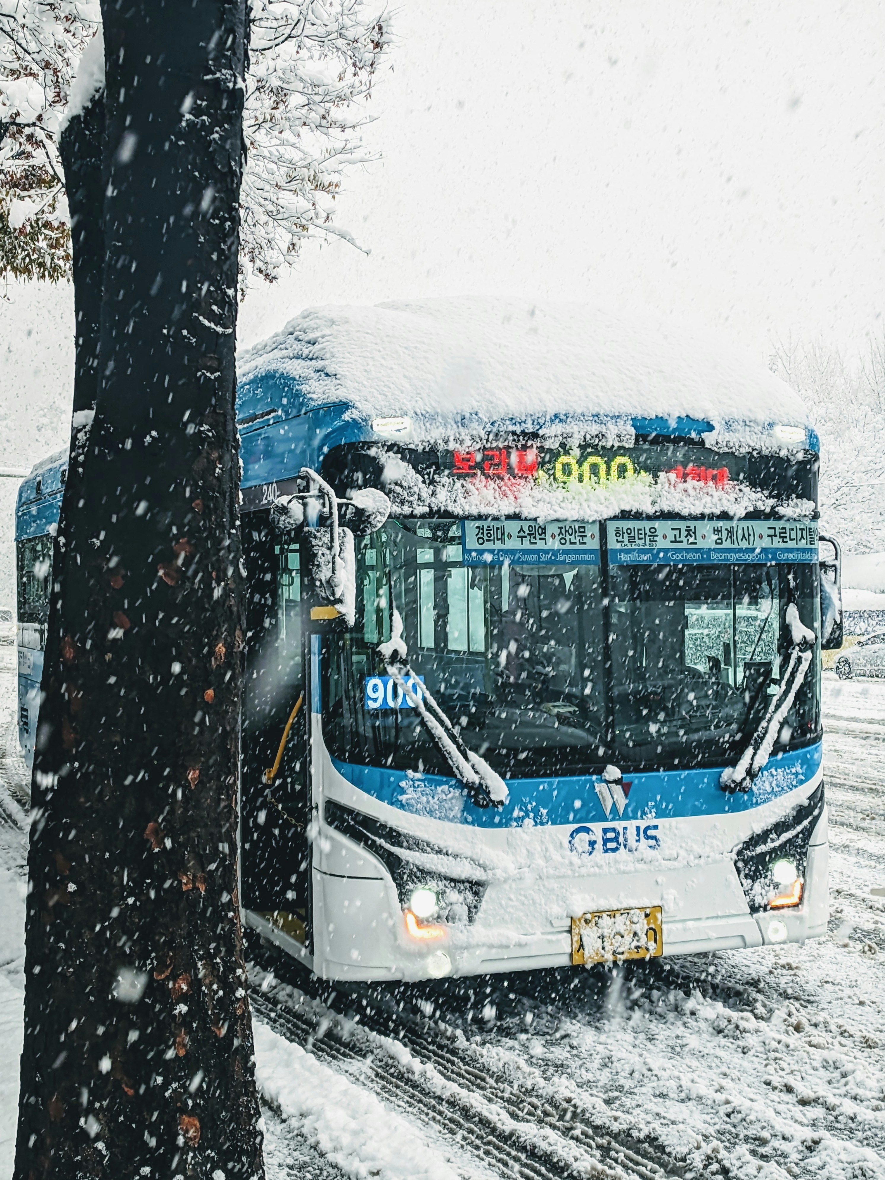 Climate Card (기후동행카드, Launched January 2024)
