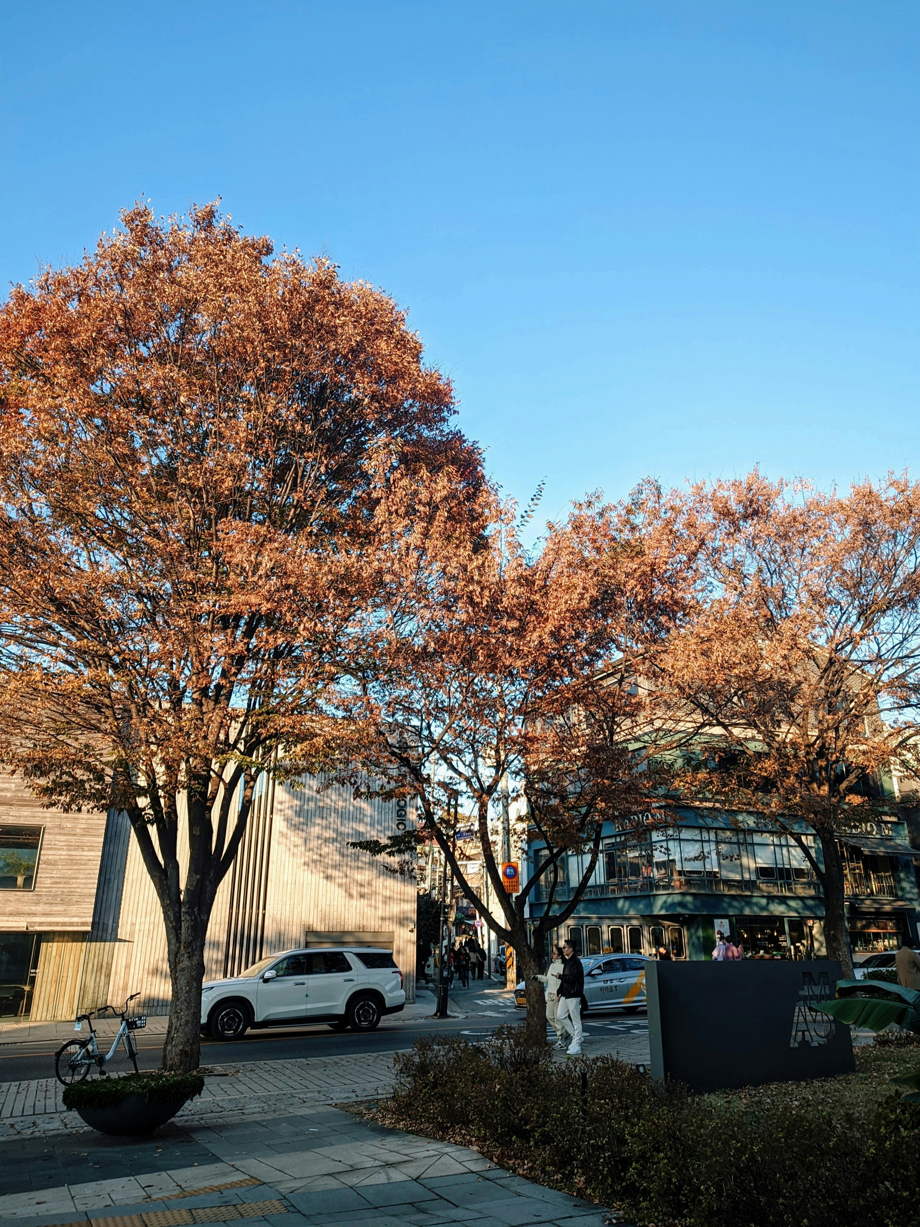 photo-1734852776441-71dc76467885?ixid=M3wxMjA3fDB8MXxzZWFyY2h8Mnx8JUVDJTg0JTlDJUVDJTlBJUI4JTIwJUVDJThBJUE0JUVDJTlCJUE4JUVCJTk0JTk0JUVDJThCJTlDJTIwJUVCJUE3JTg4JUVDJTgyJUFDJUVDJUE3JTgwfGVufDB8fHx8MTc0MDU4NTQzNHww\u0026ixlib=rb-4.0.3