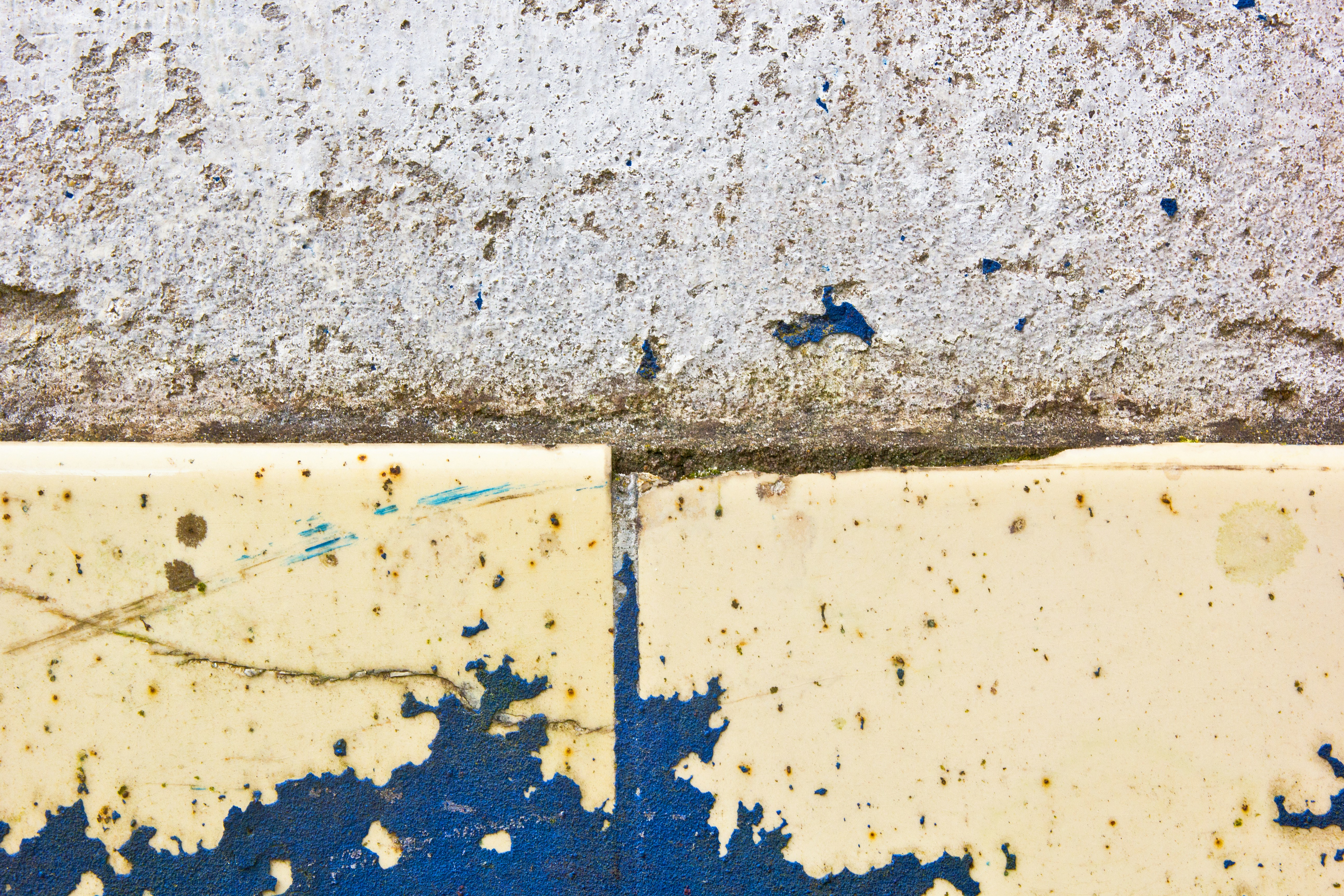 אתם צריכים אותי אדמה / דנה שניצר משיח