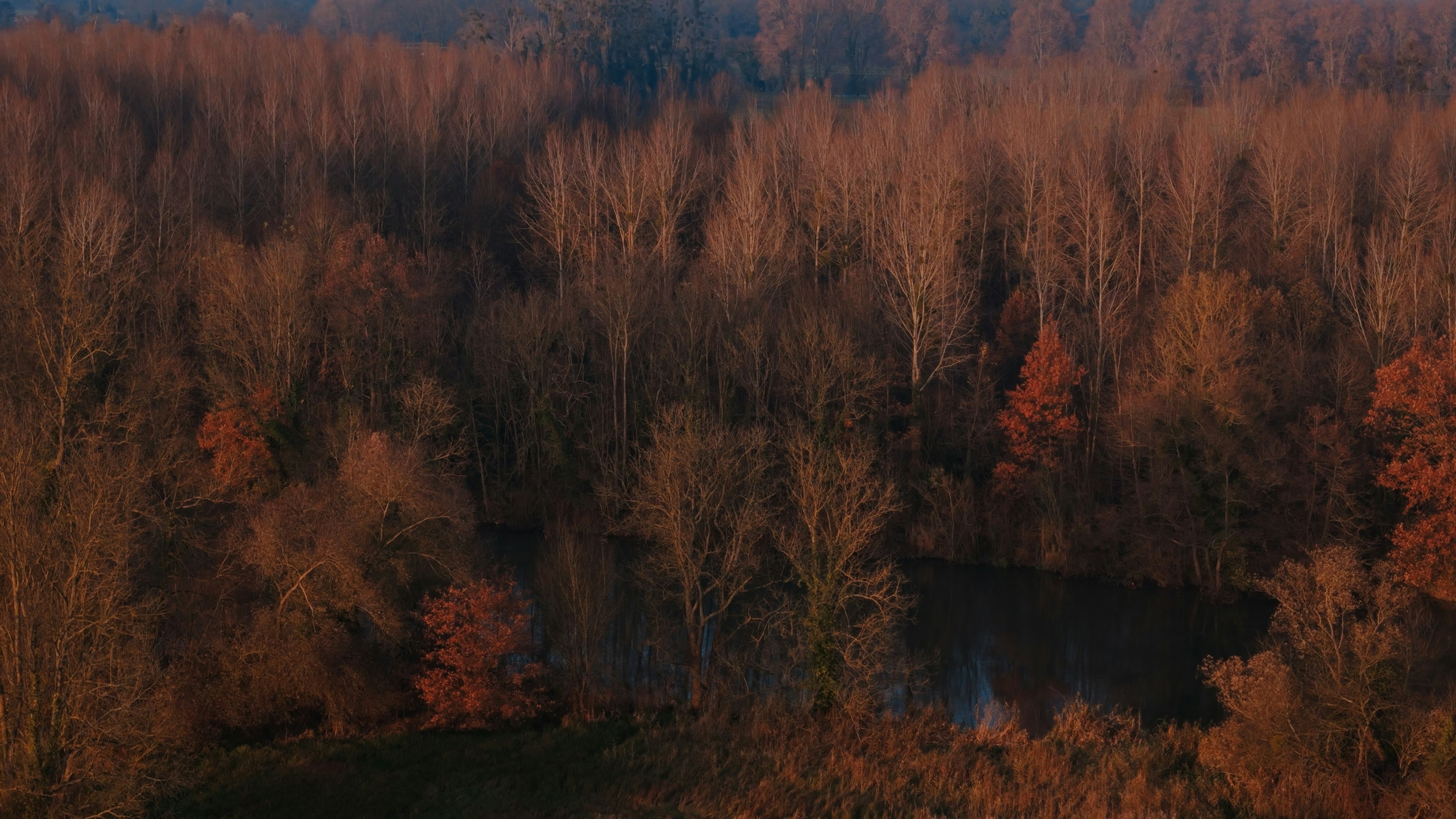 Photo by juliengoettelmann