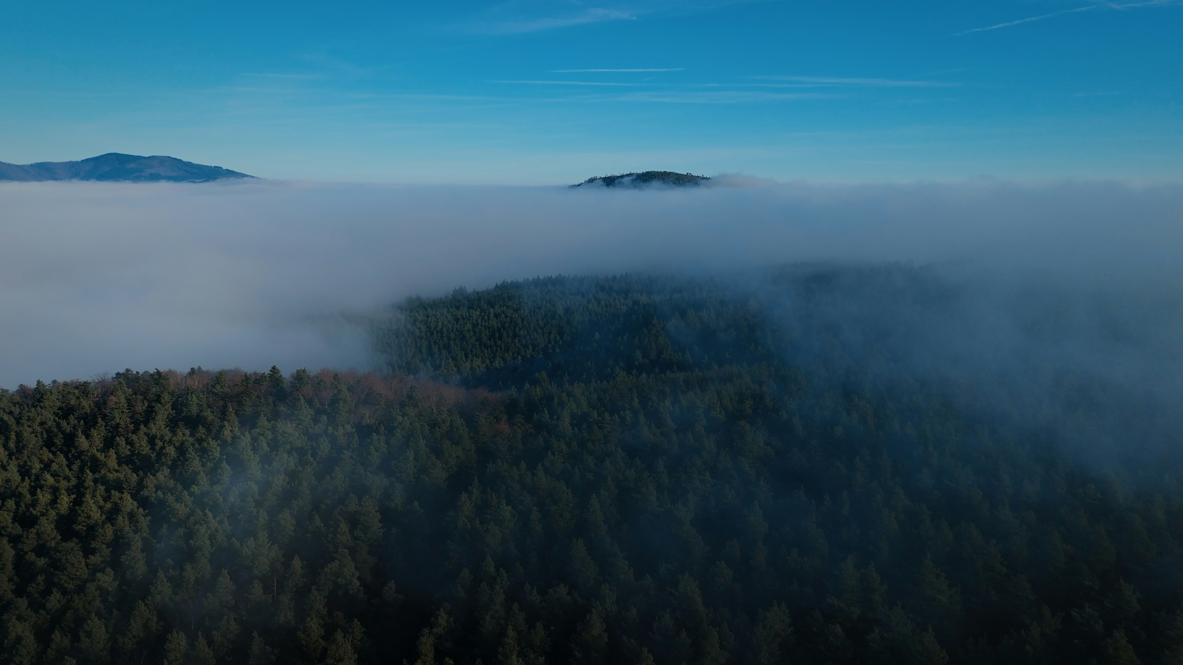 Photo by juliengoettelmann