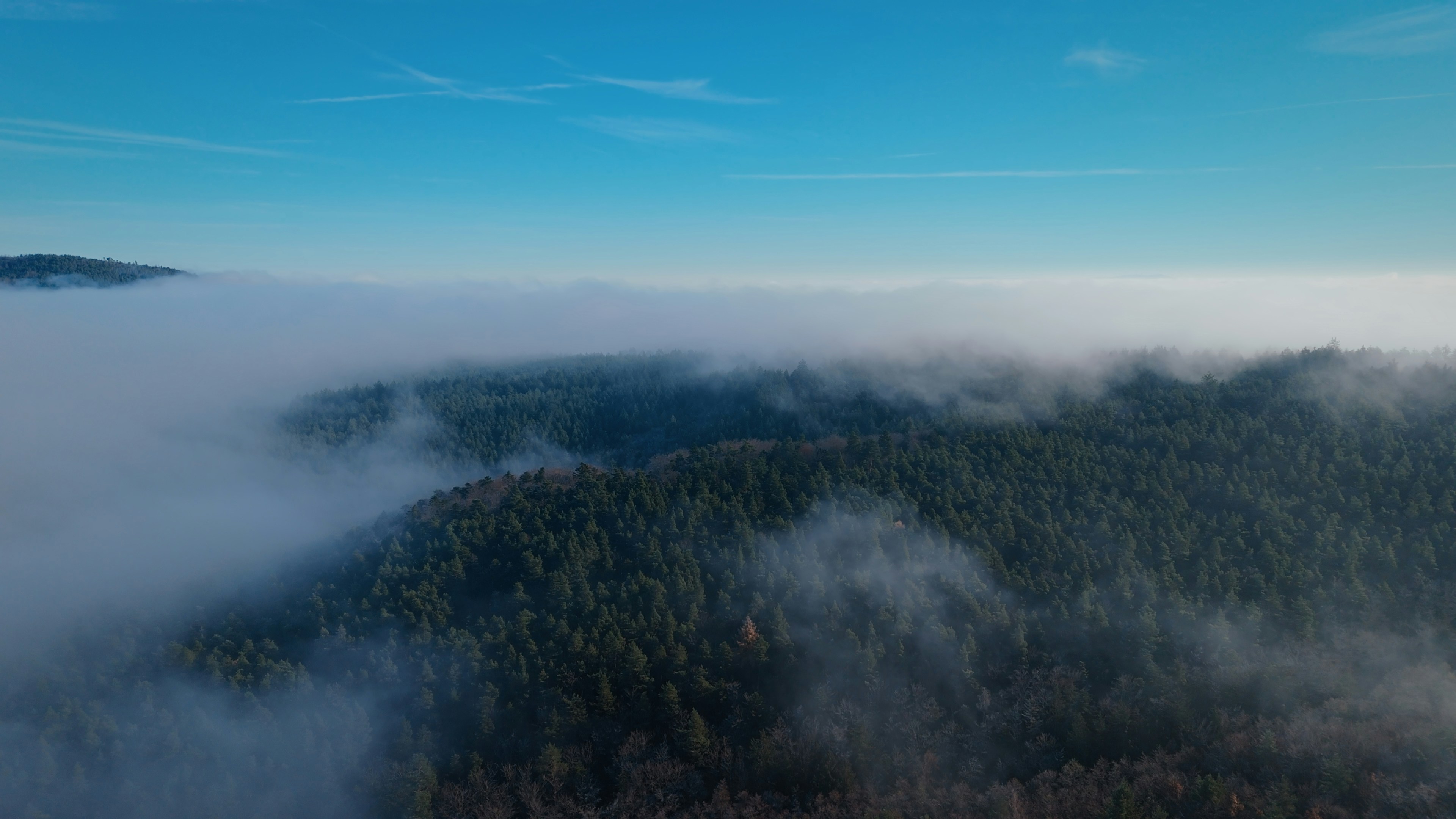 Photo by juliengoettelmann