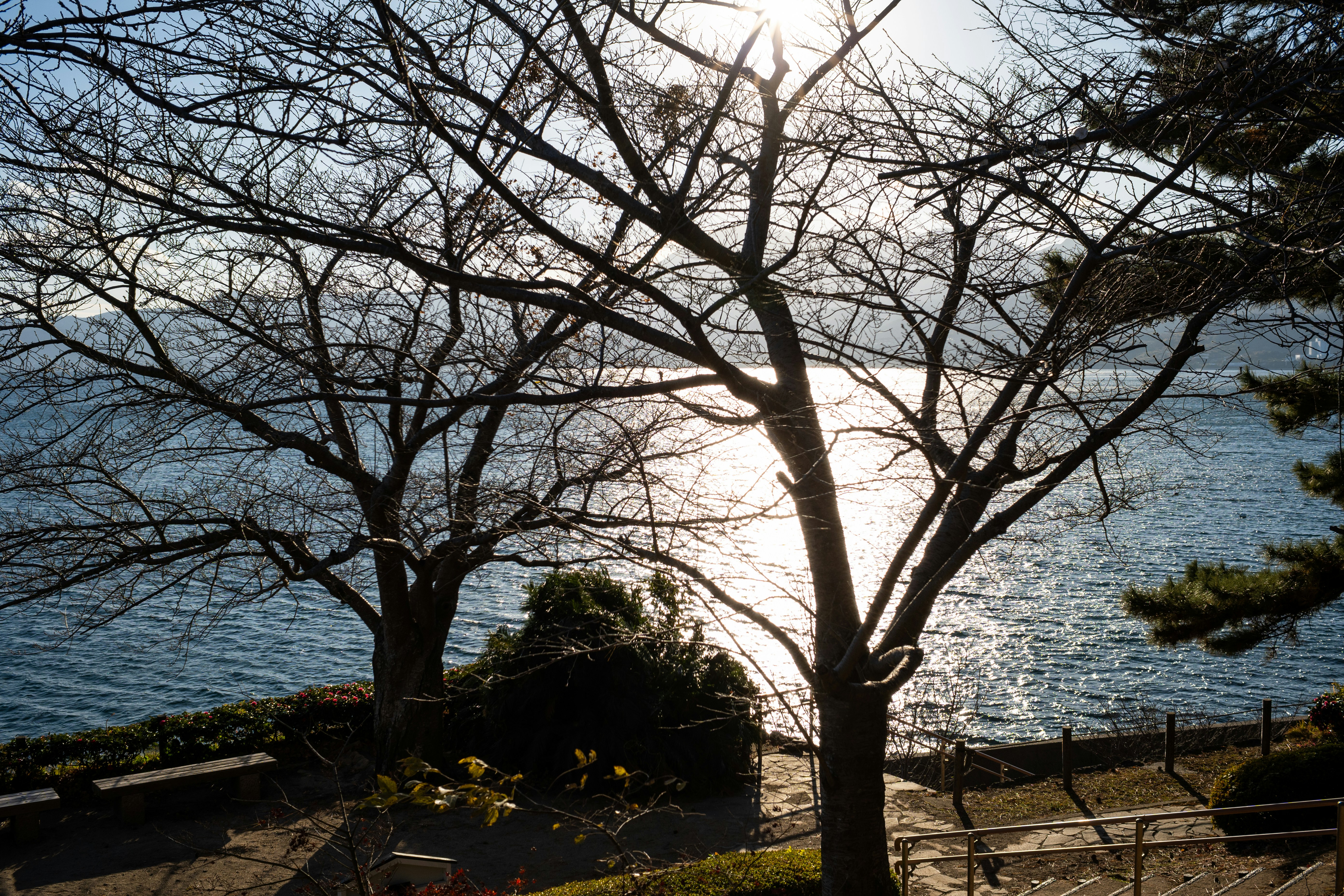 Photo by pafuxu