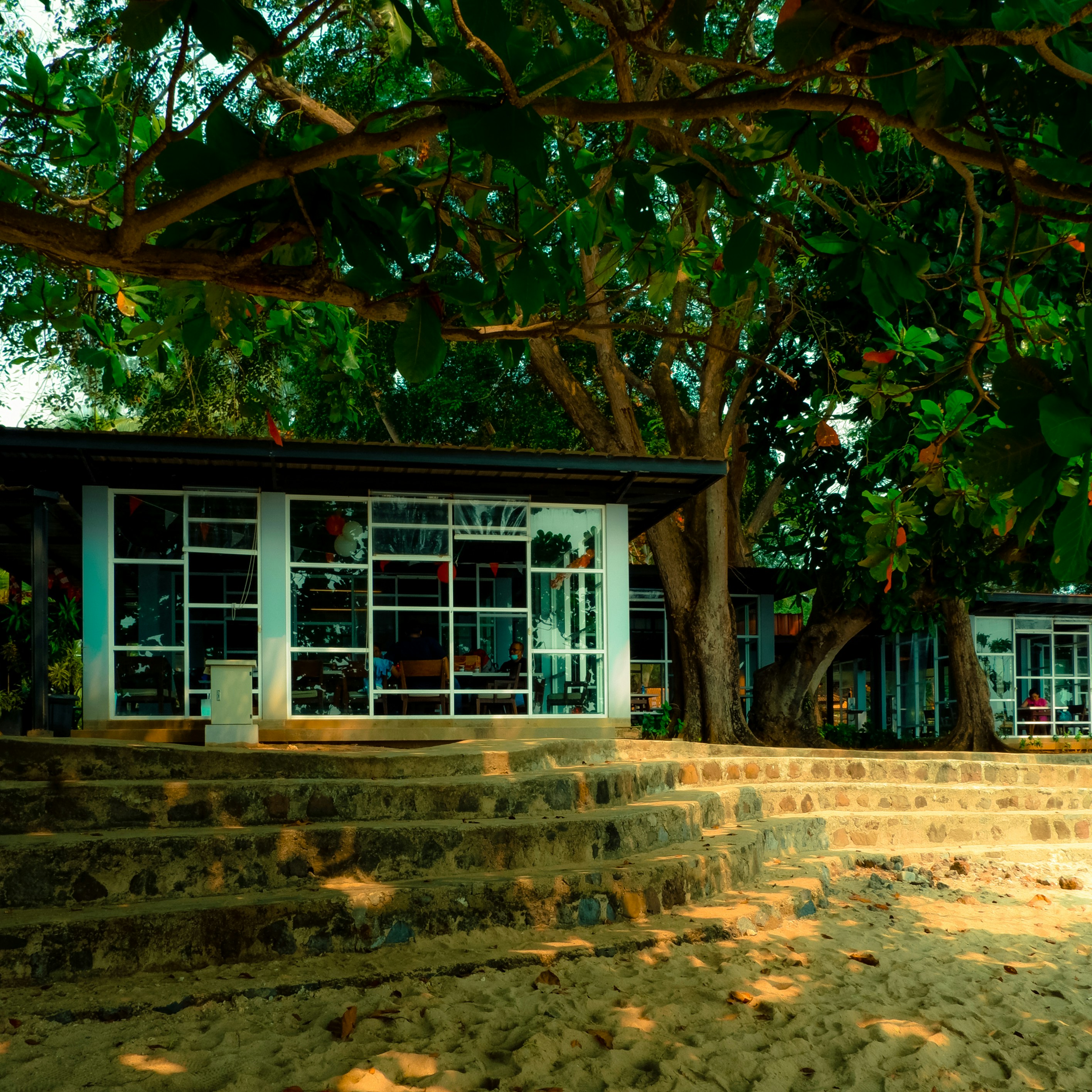 A group of steps leading up to a building
