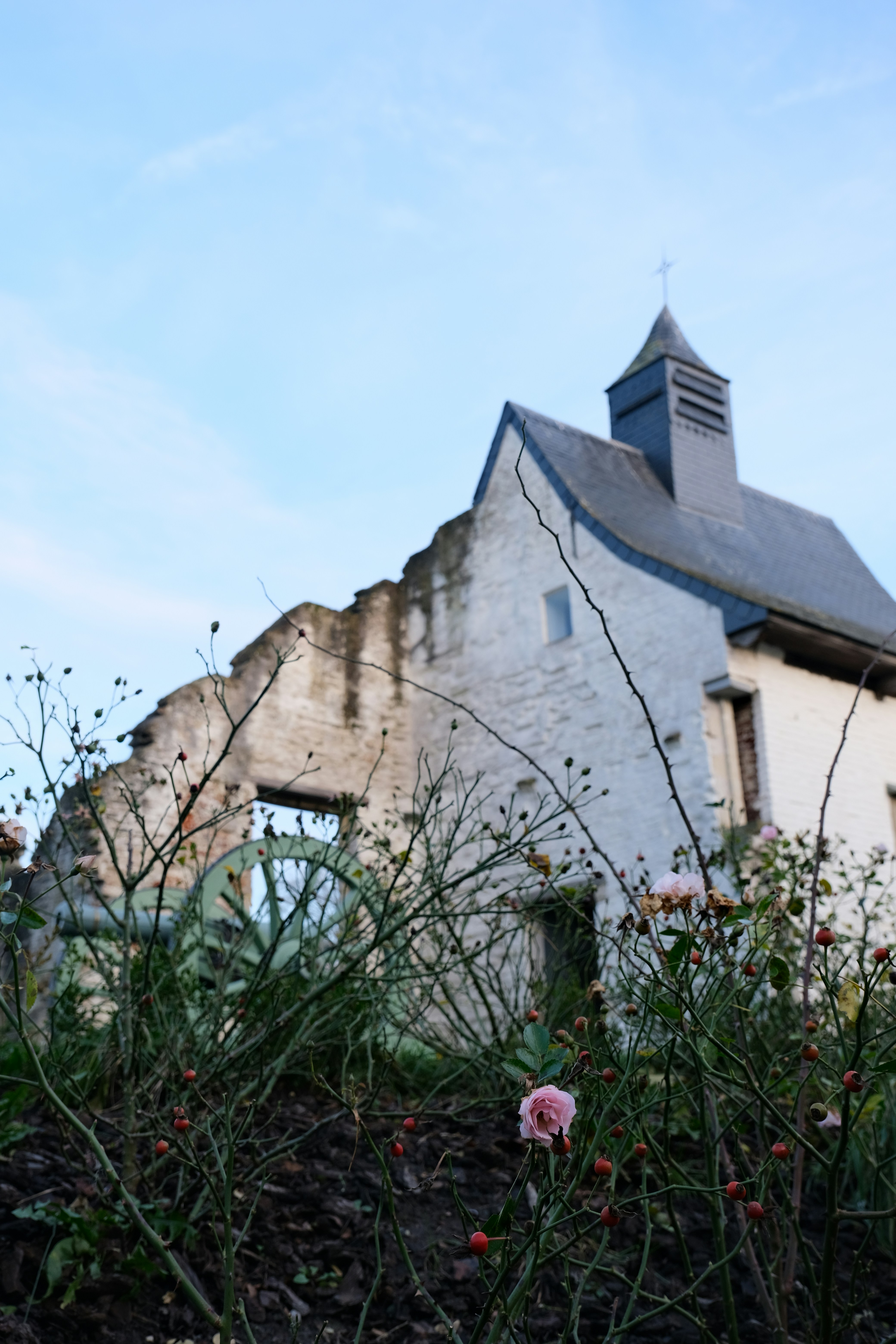 Photo by ingeborgkorme