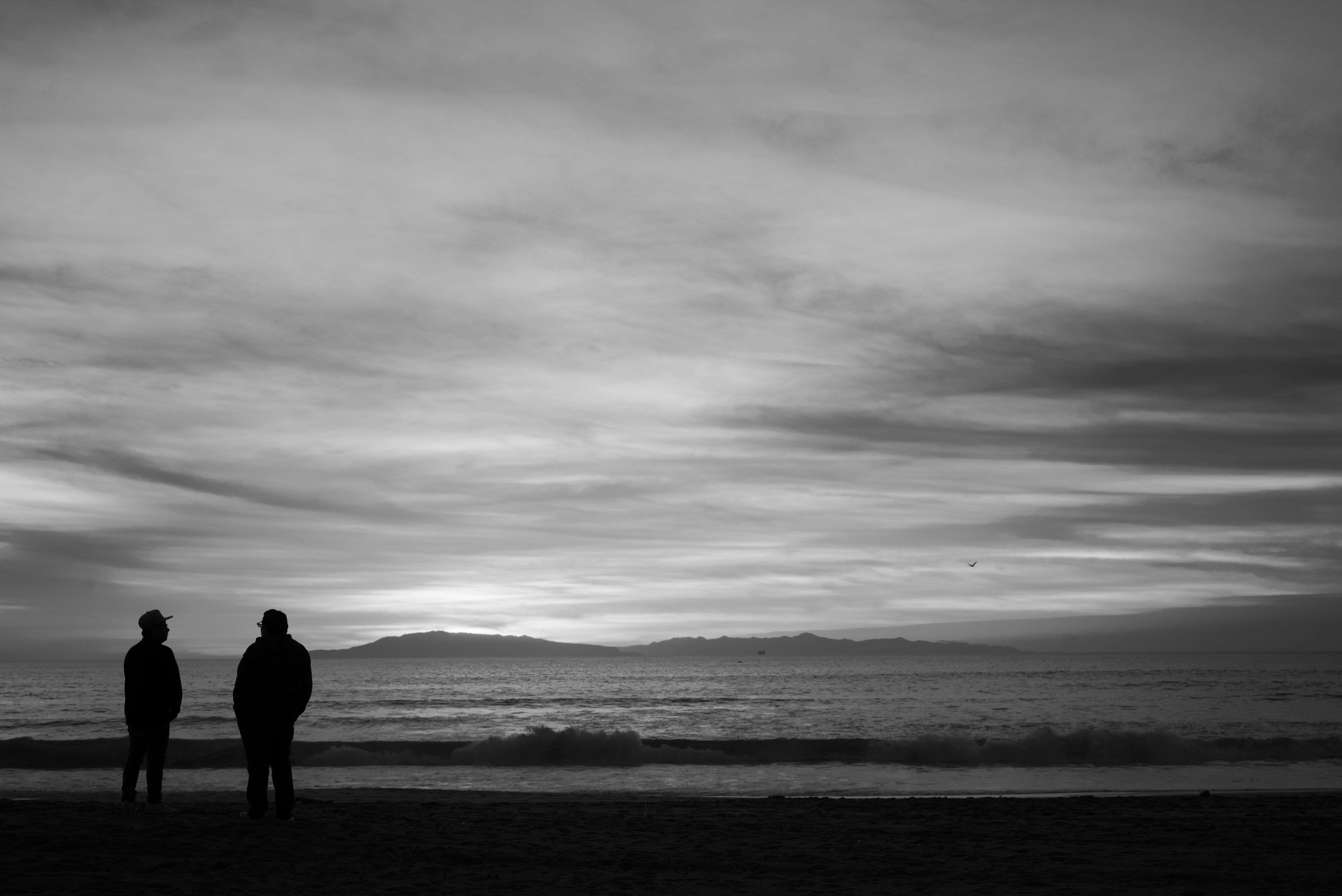 Photo by saadahmad_umn