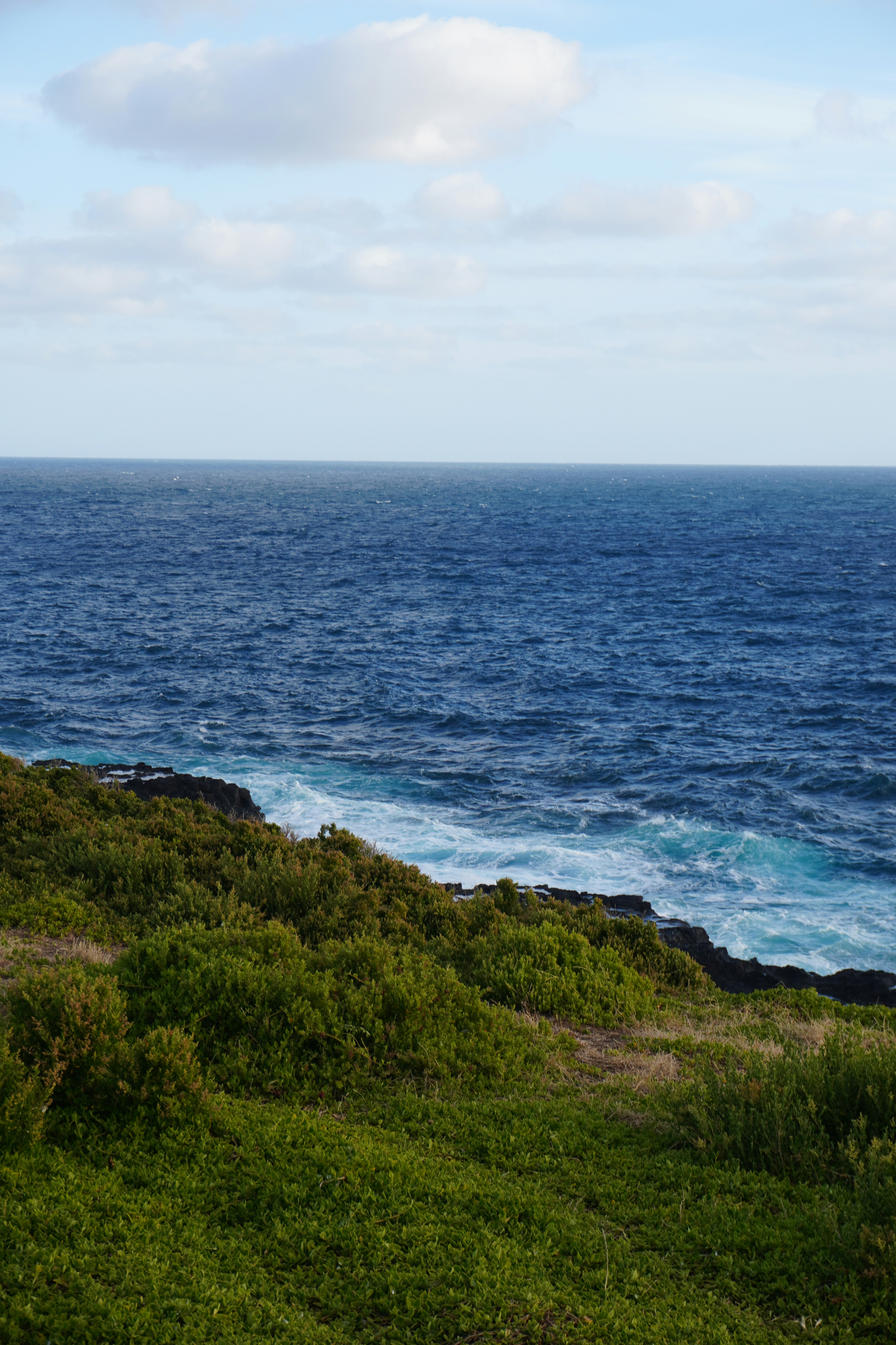 Photo by cherrymacherie