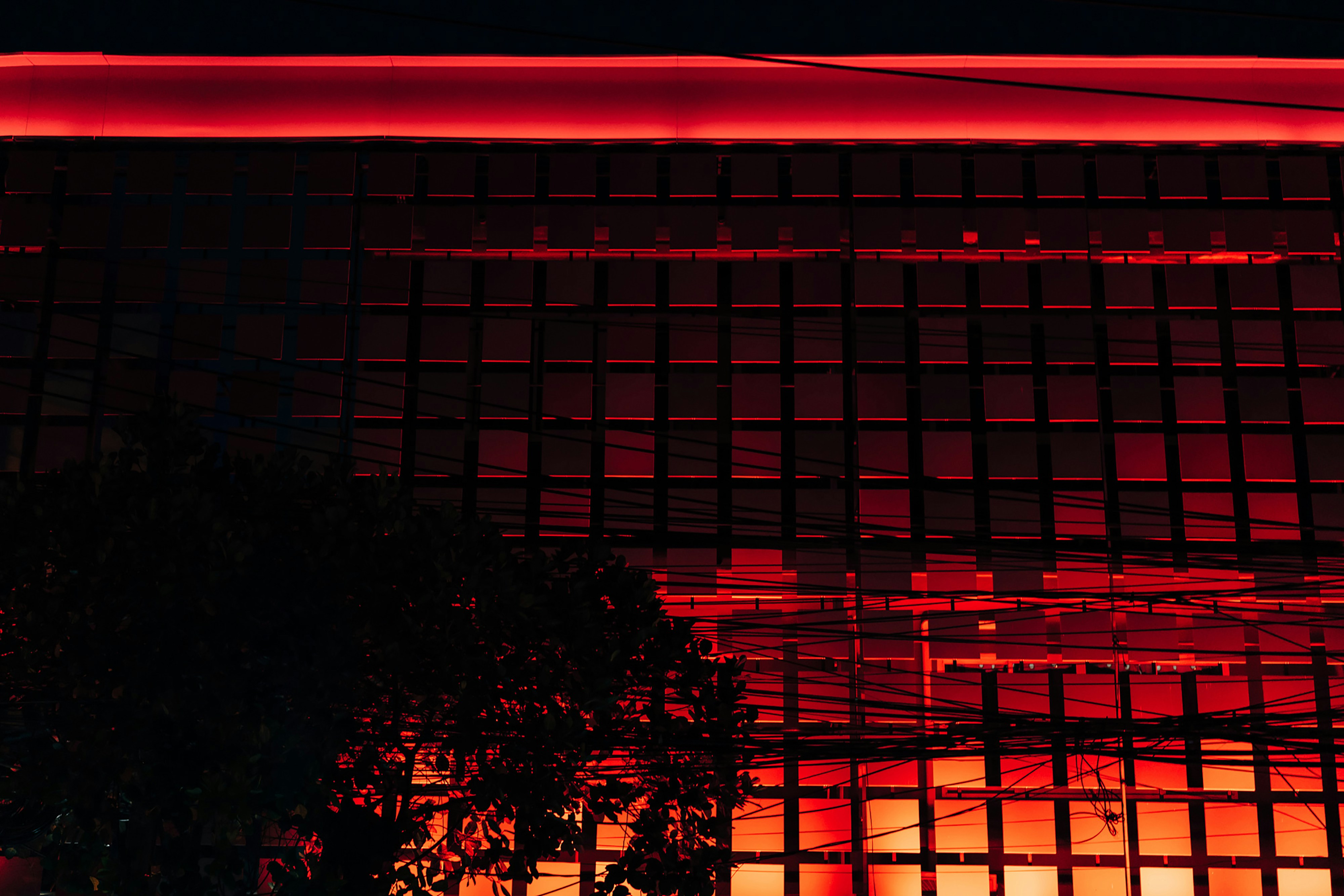 Photo by markuswinkler