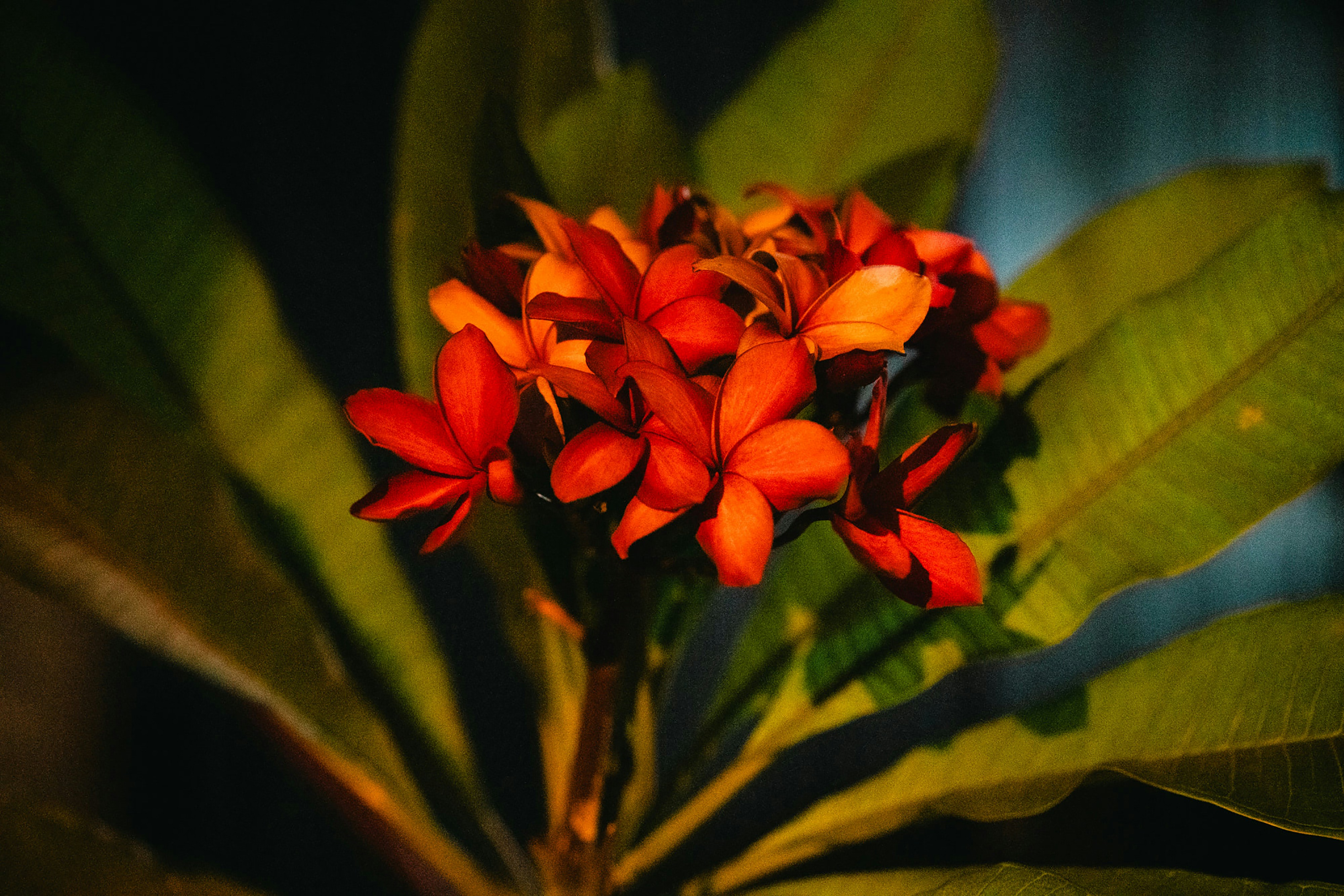Photo by markuswinkler