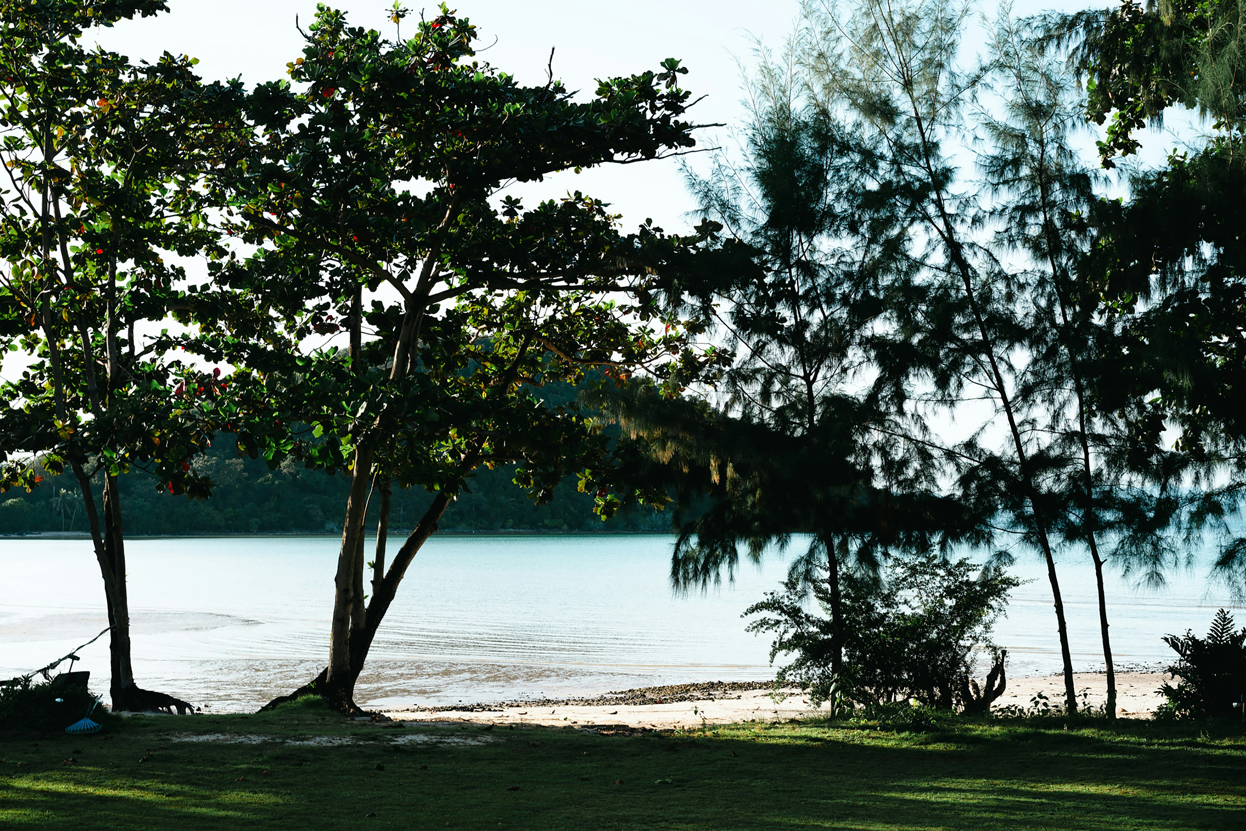 Photo by markuswinkler