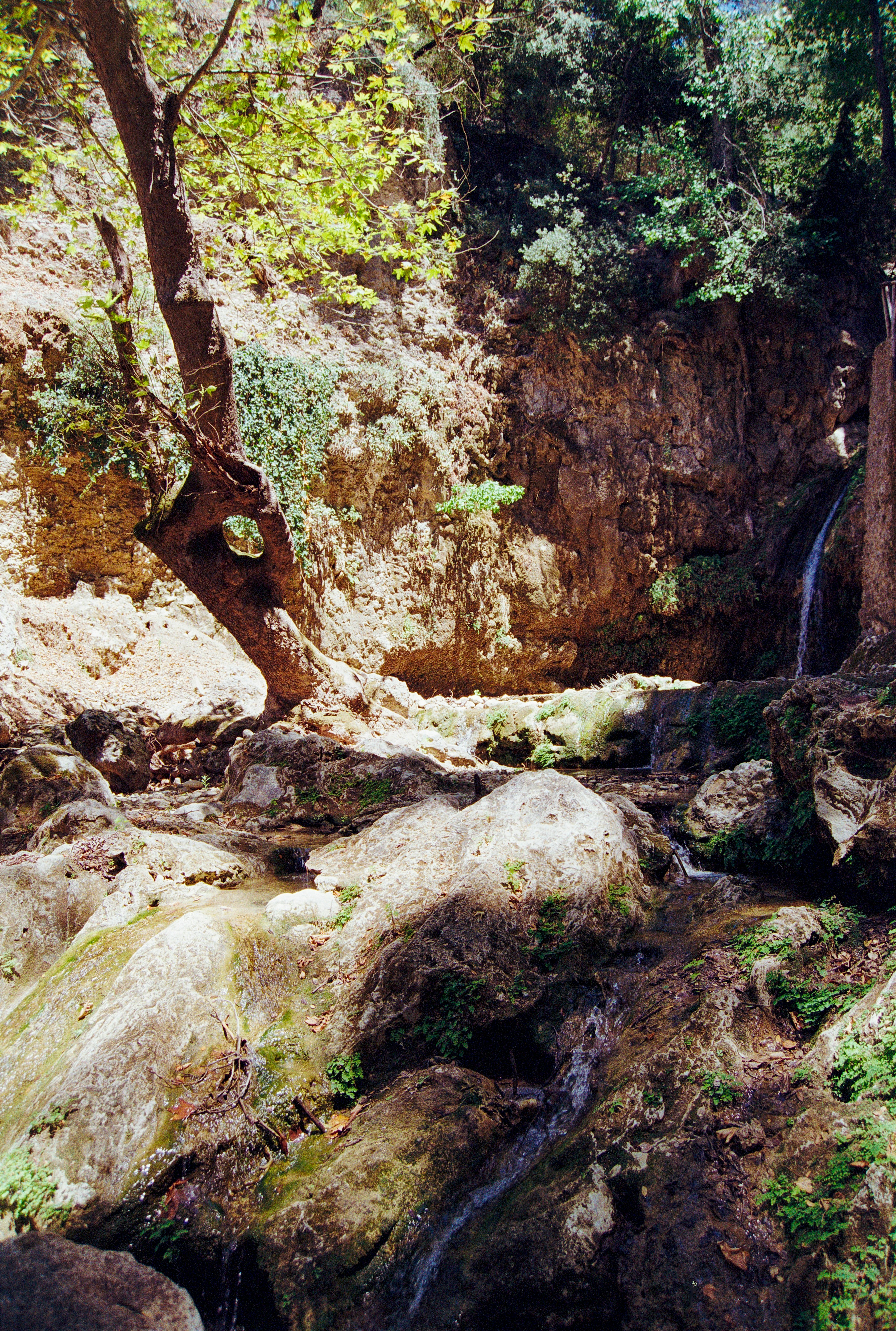Ksamil's pristine natural environment