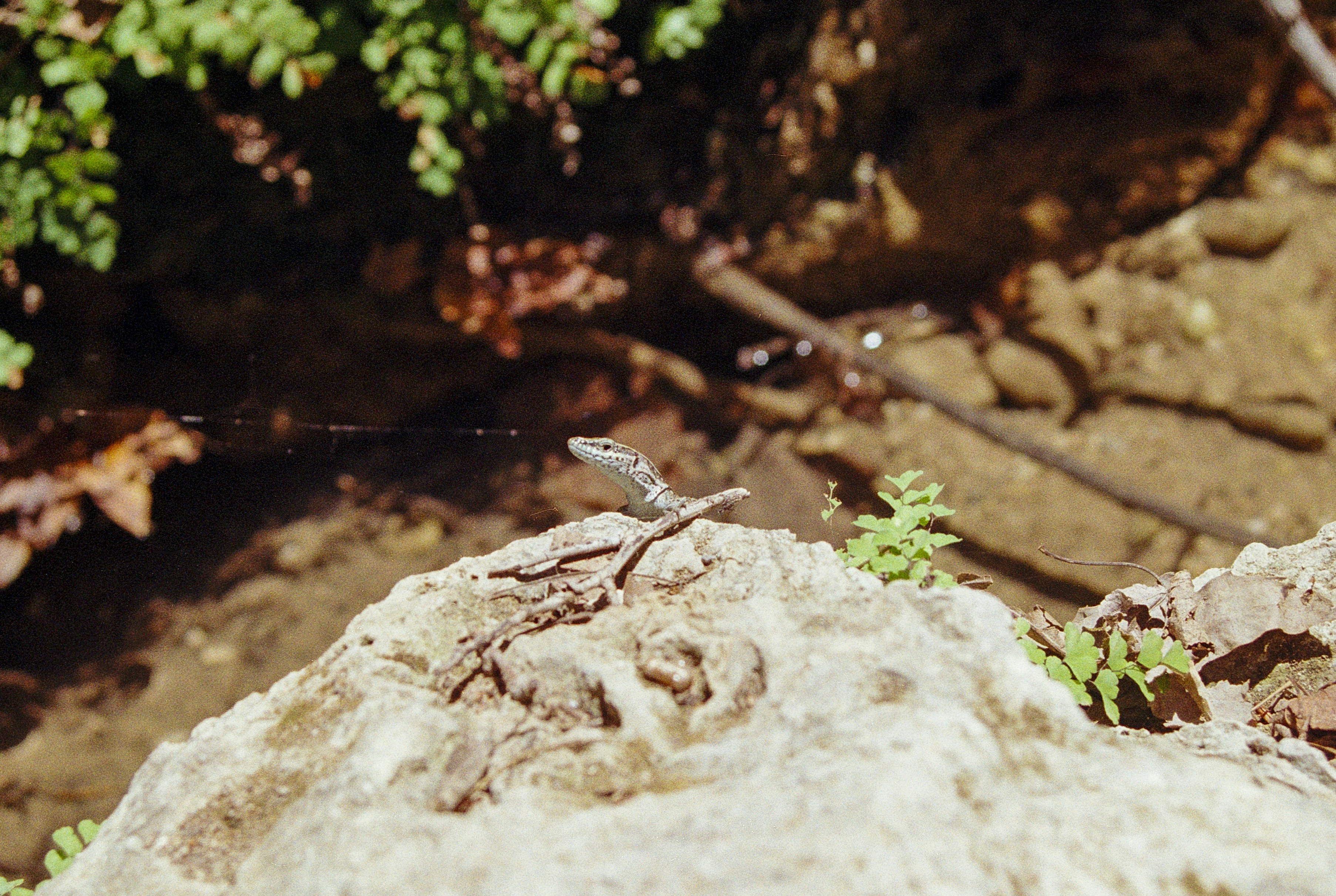 Photo by artistseyes