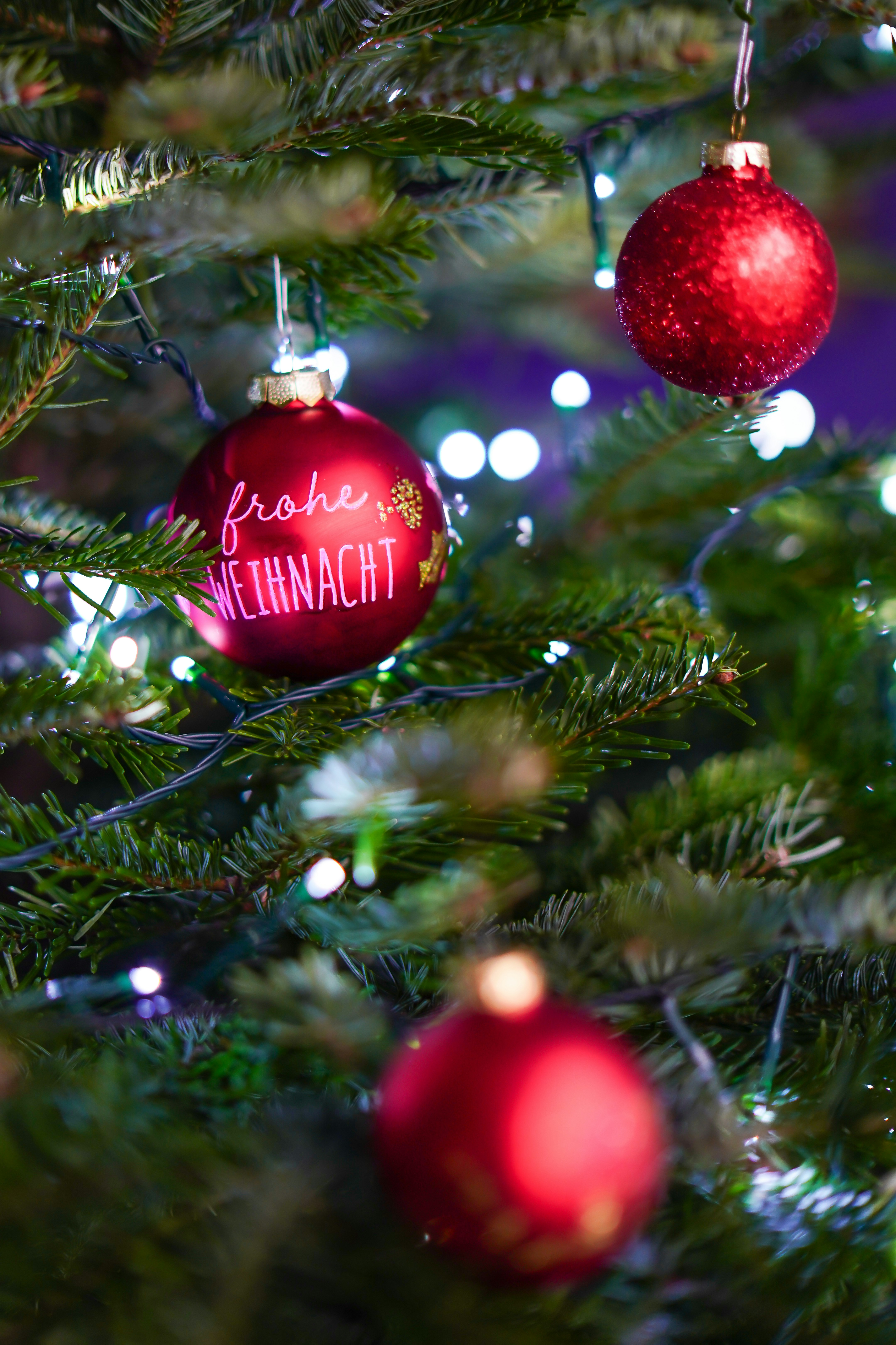 Photo by magictravel