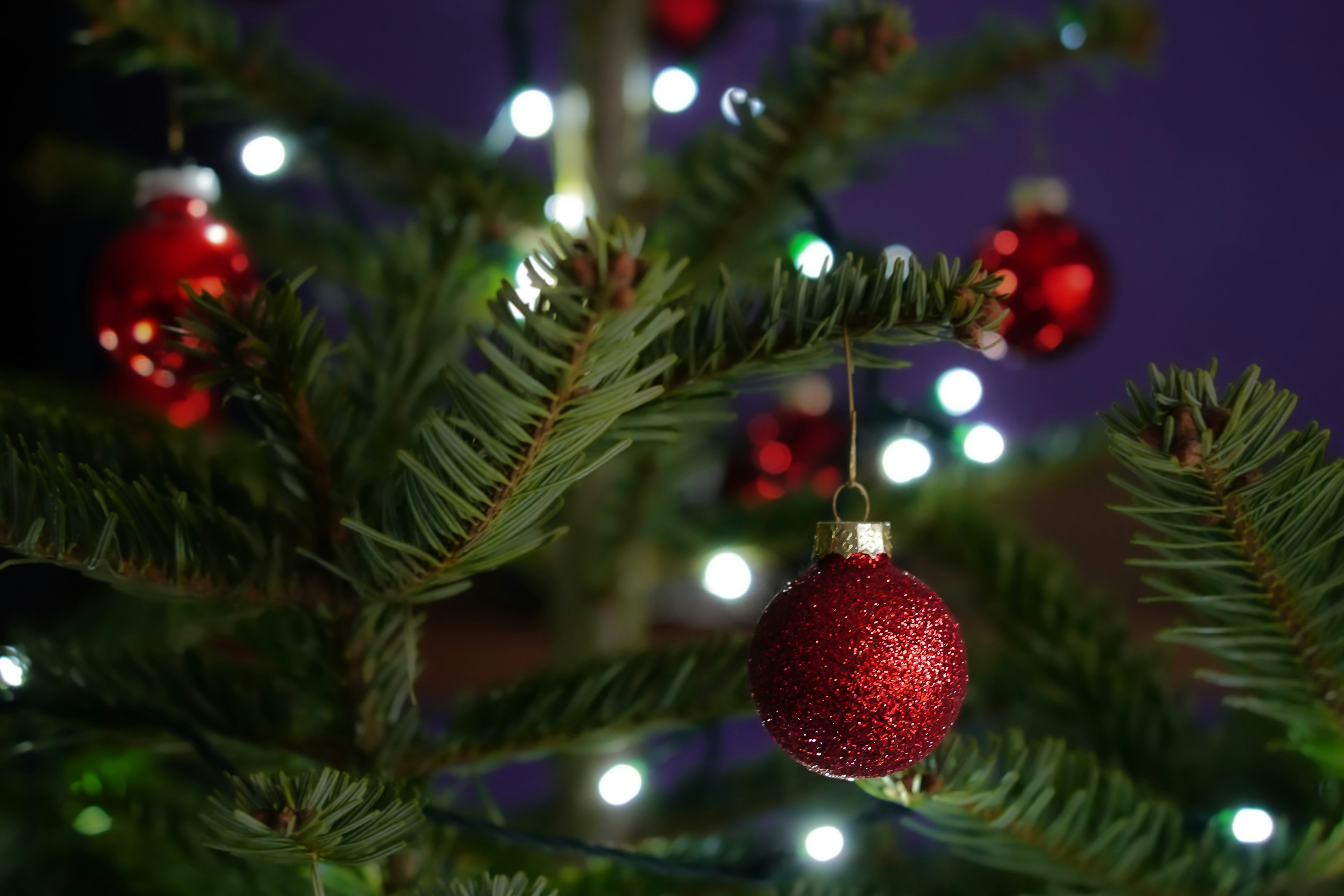 Photo by magictravel