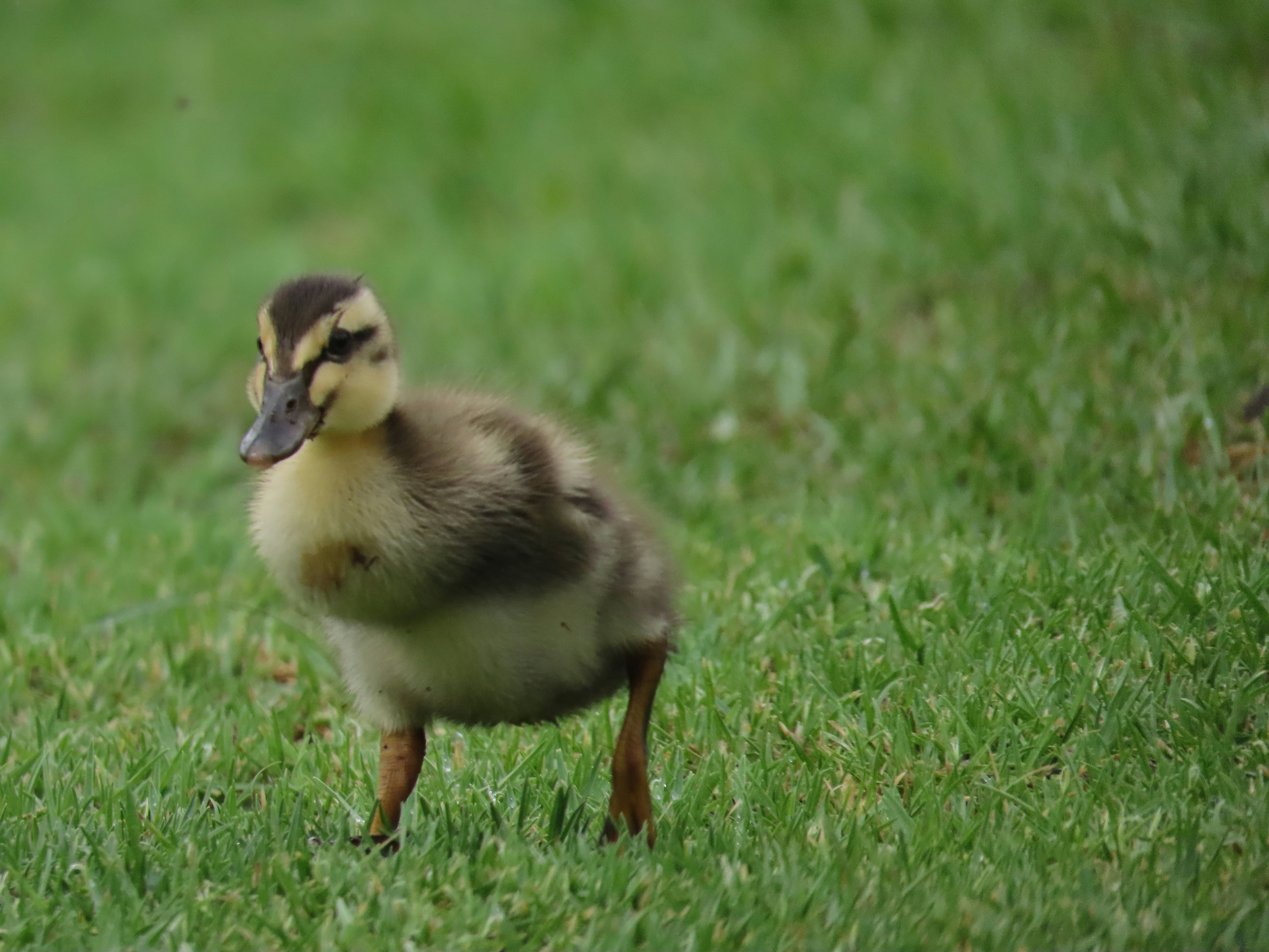 Photo by ja_photography