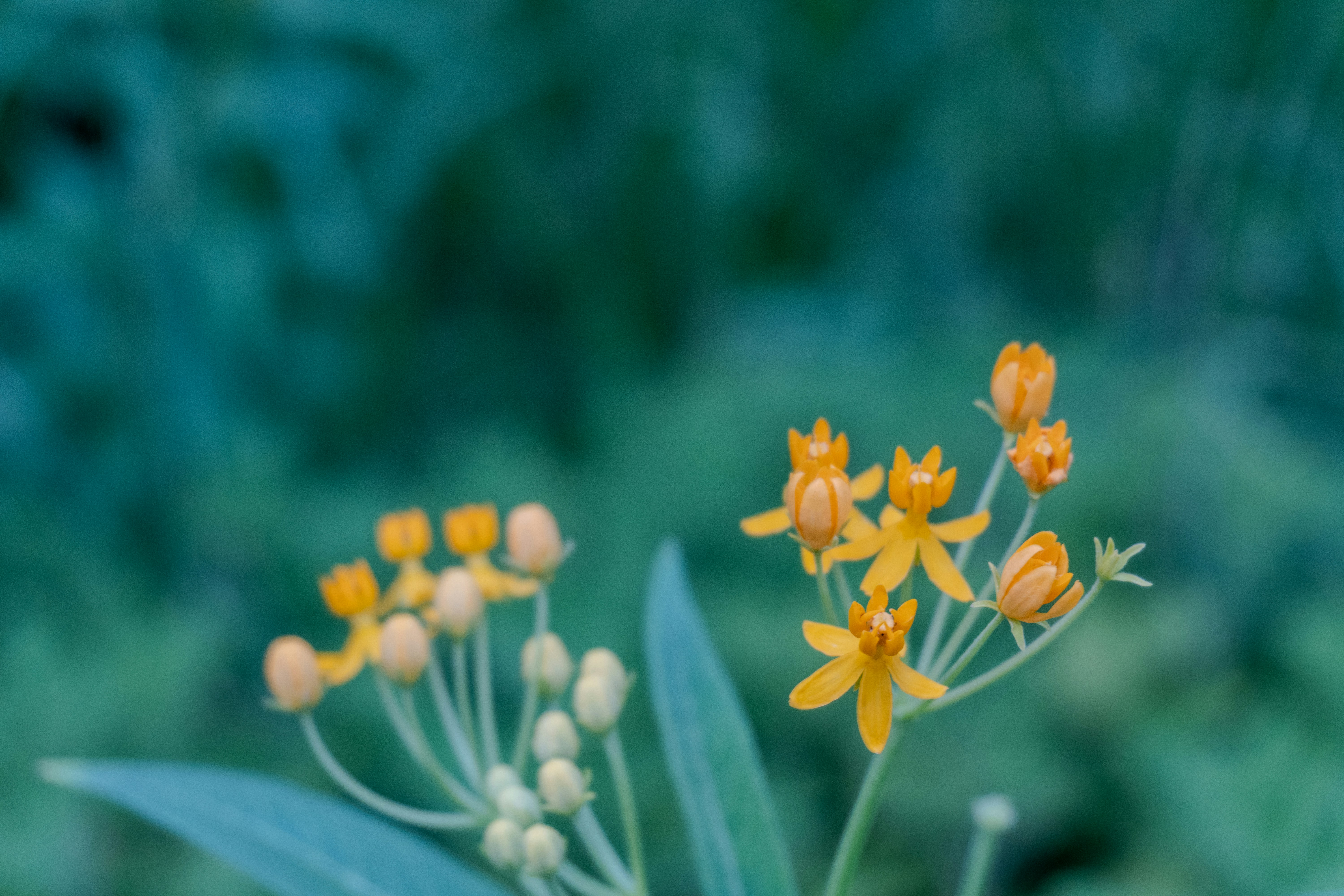 Photo by whereiskylenow