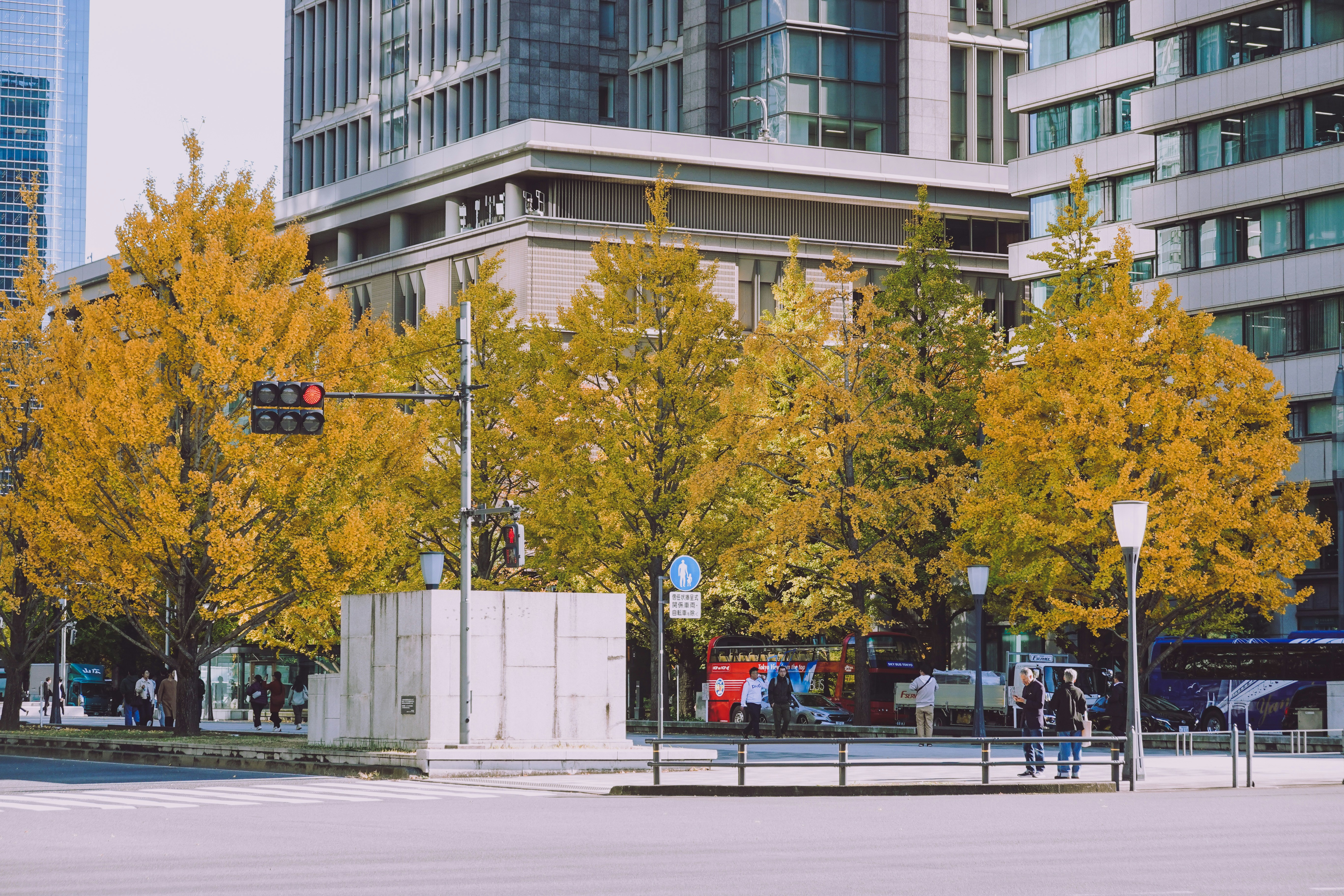 Photo by yungchi1104