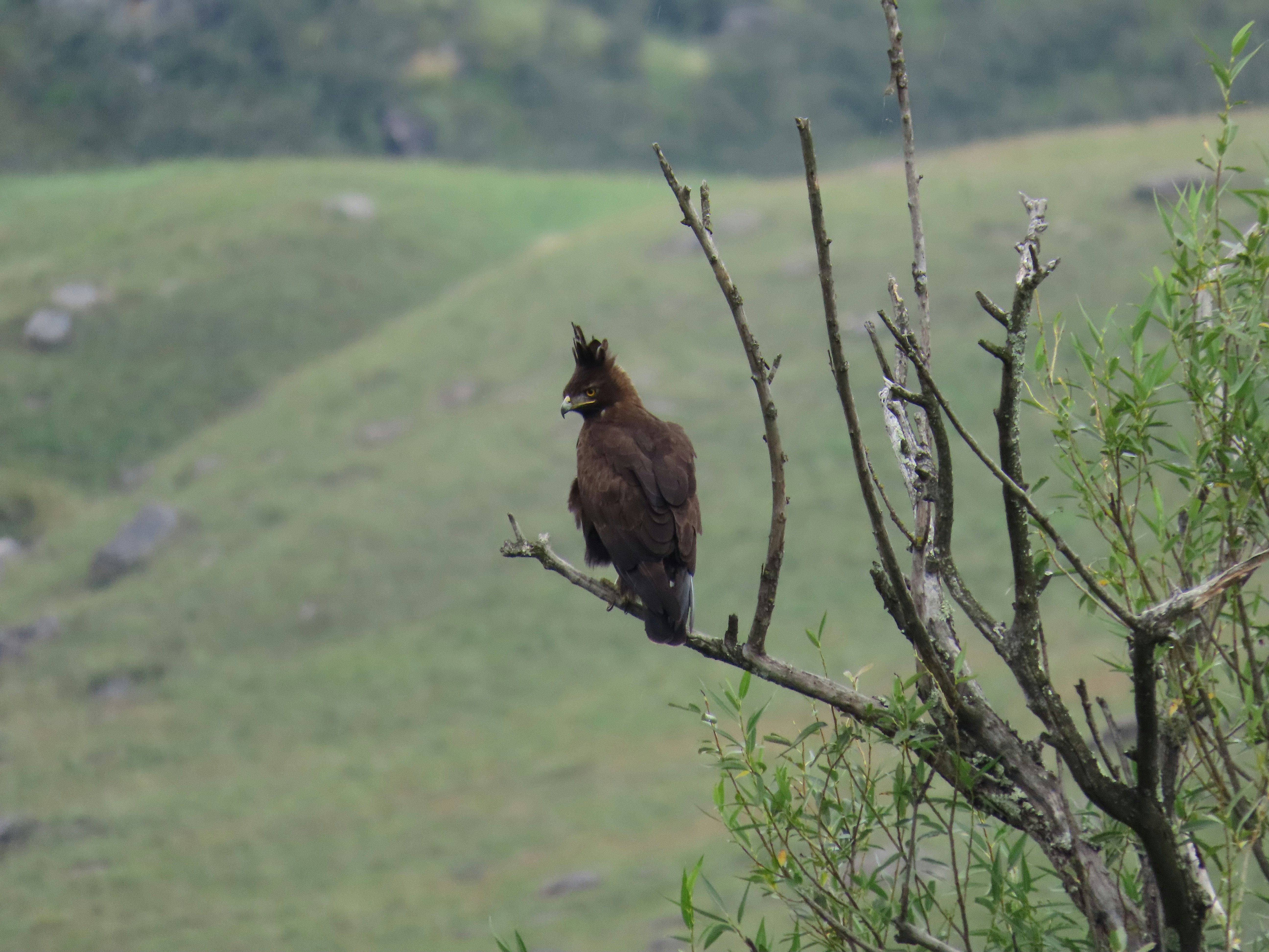 Photo by ja_photography