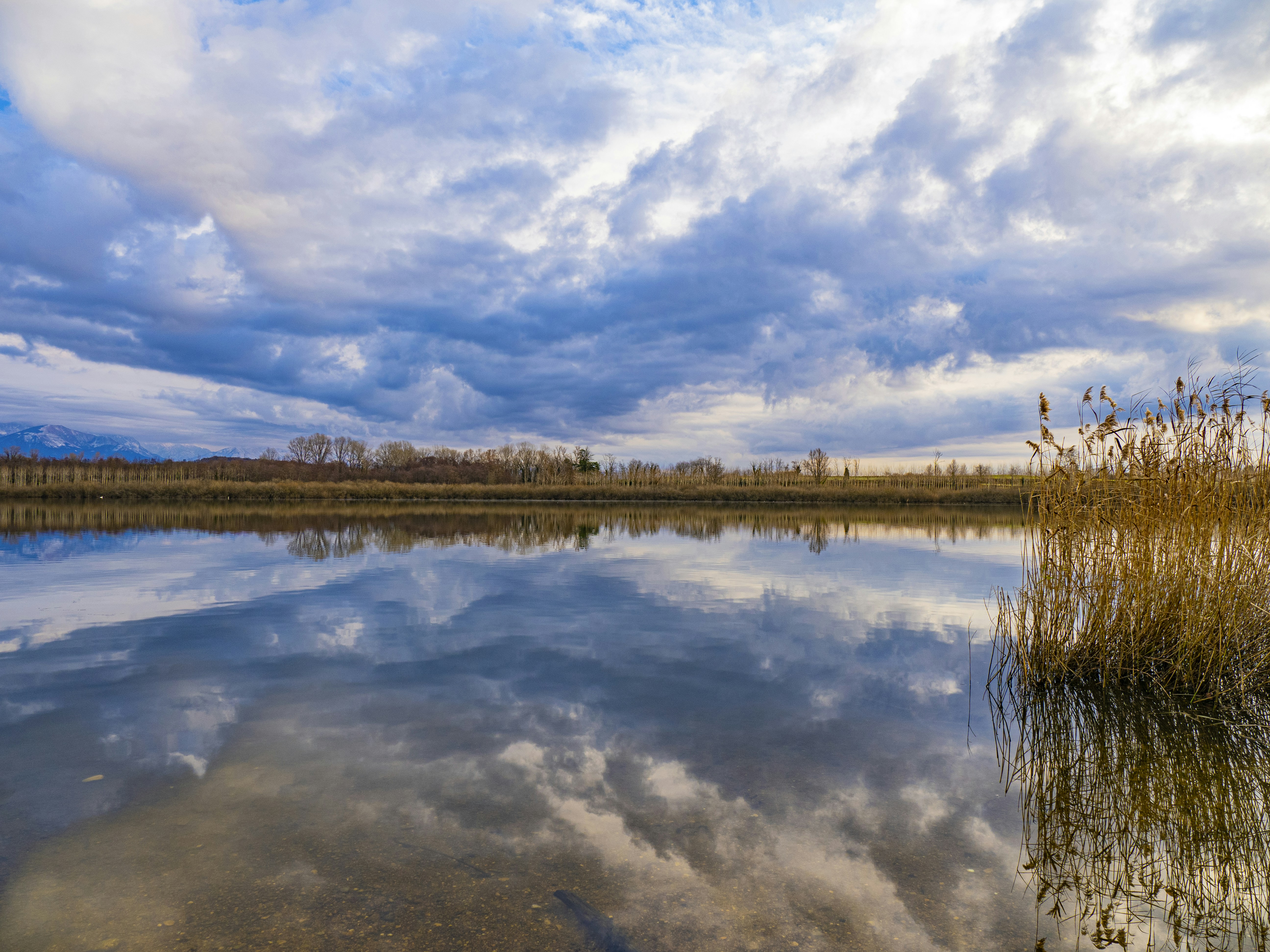 Photo by gopitri_prem