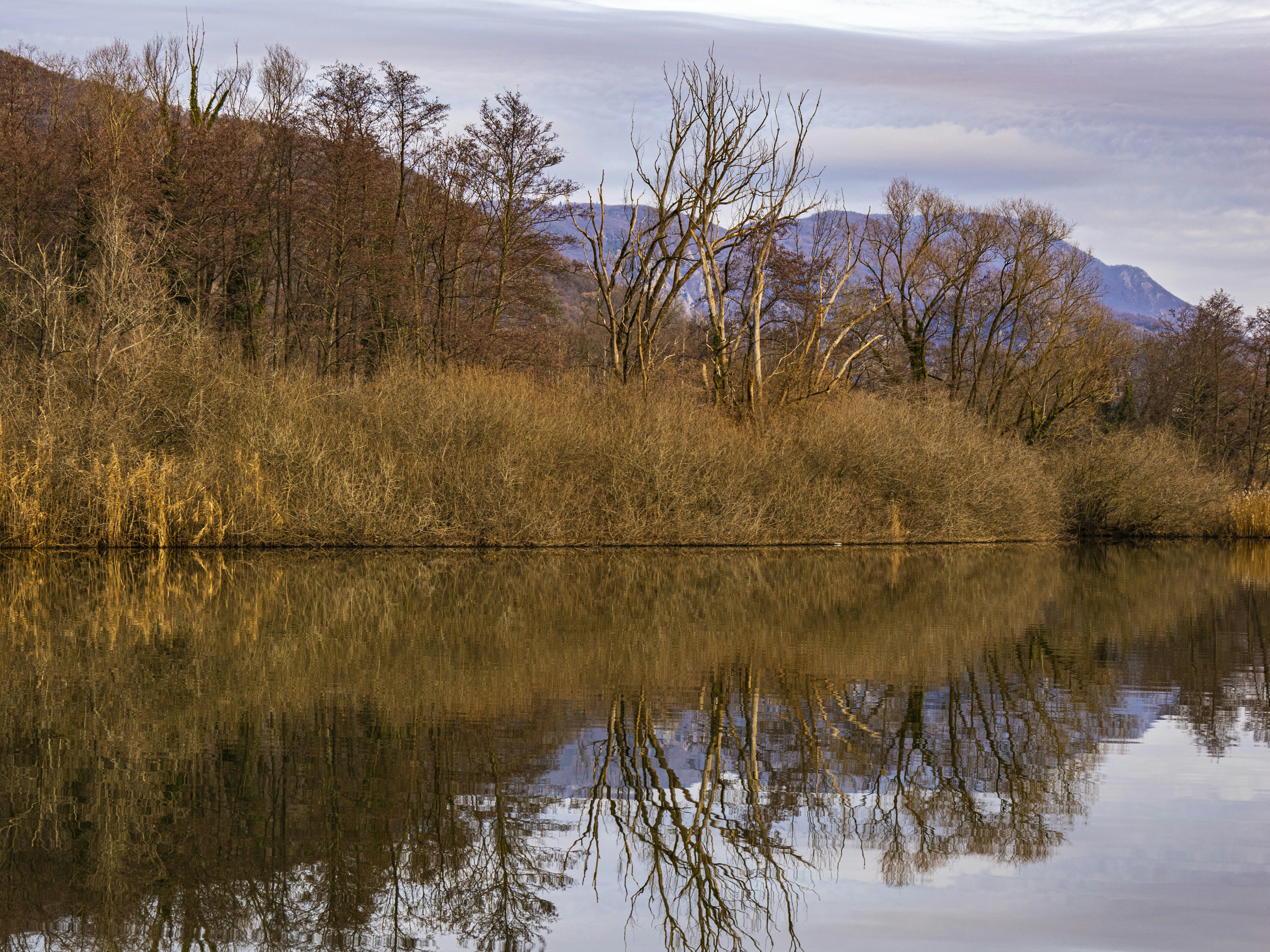 Photo by gopitri_prem