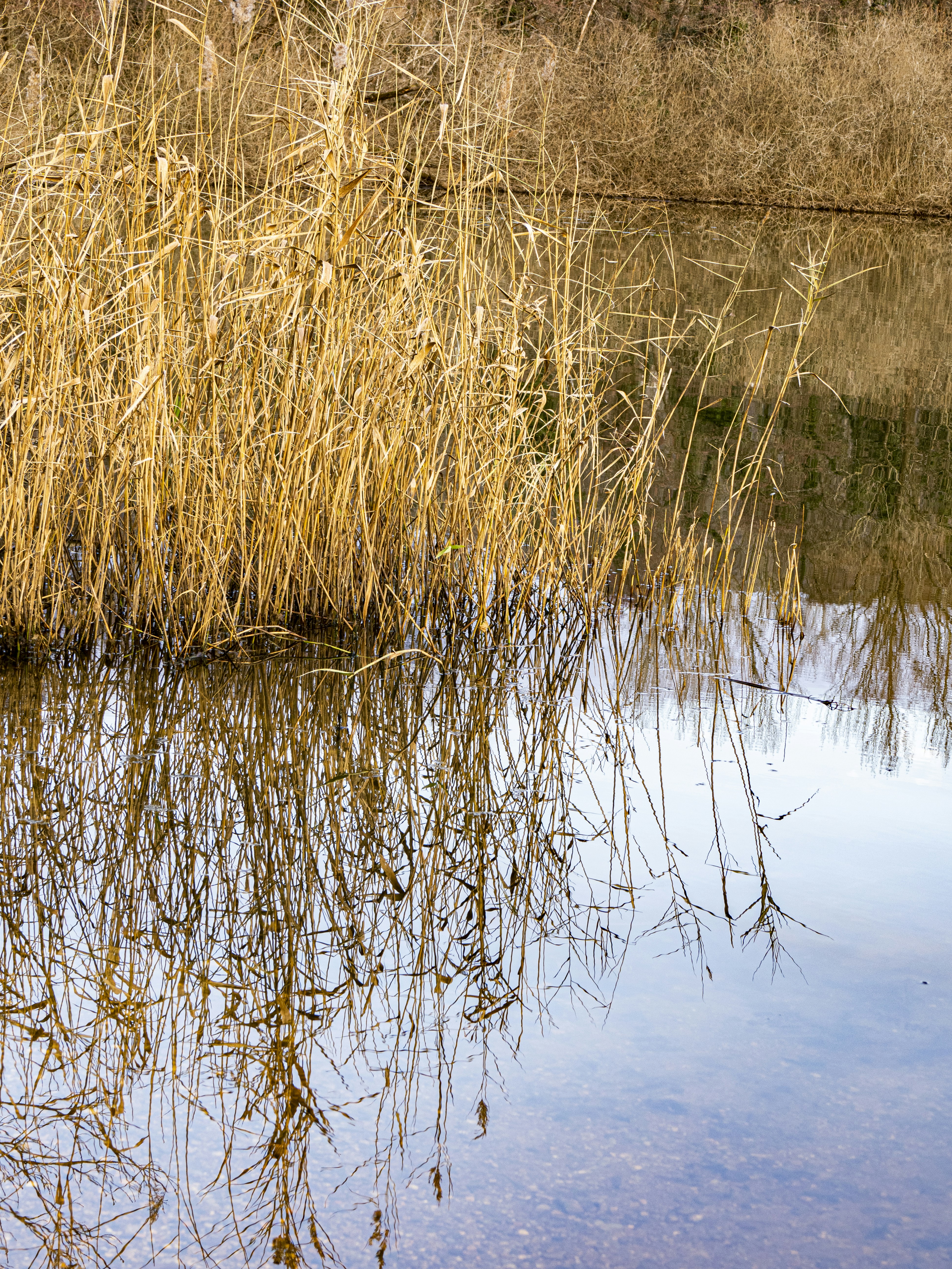 Photo by gopitri_prem