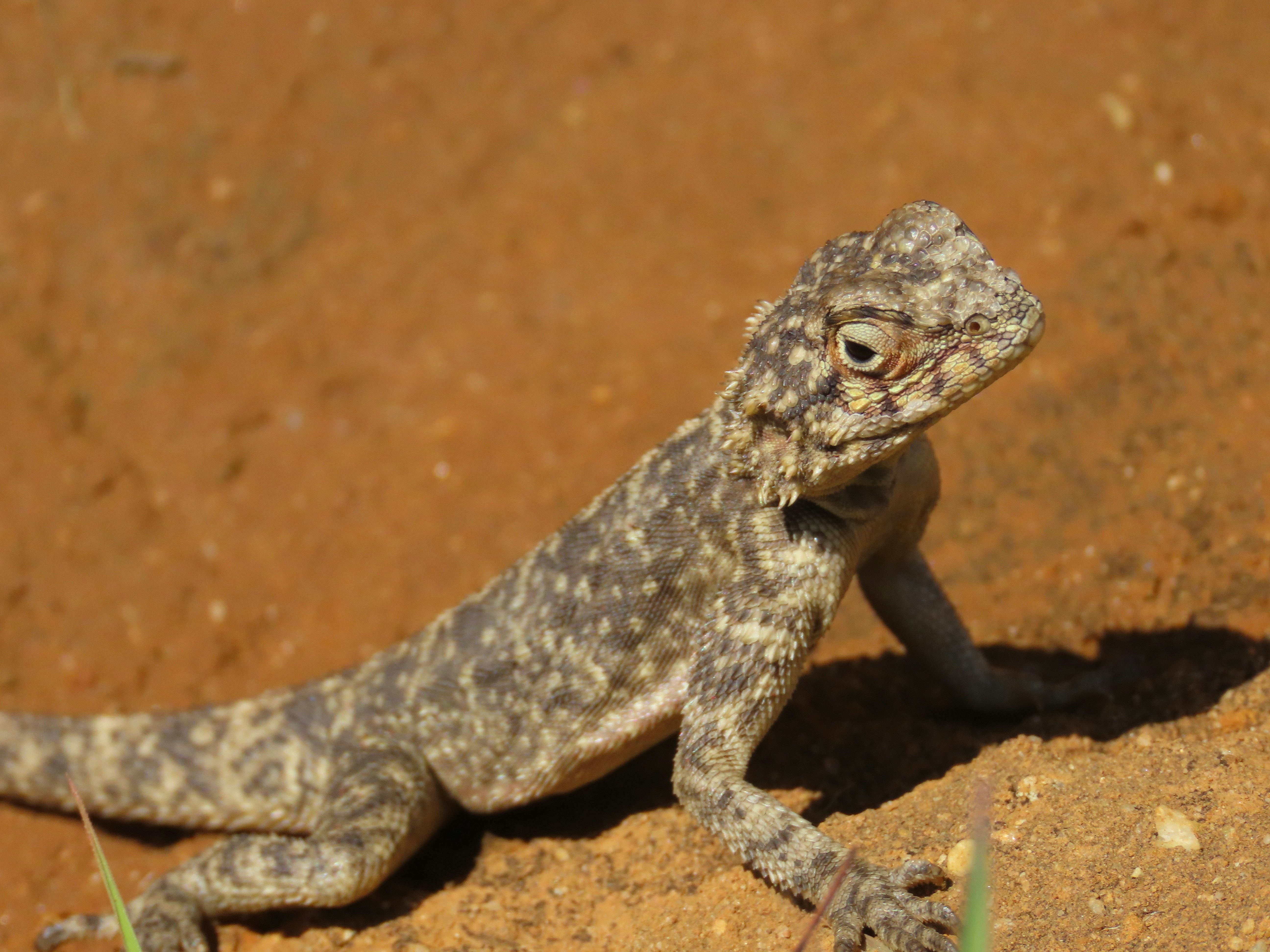 Photo by ja_photography