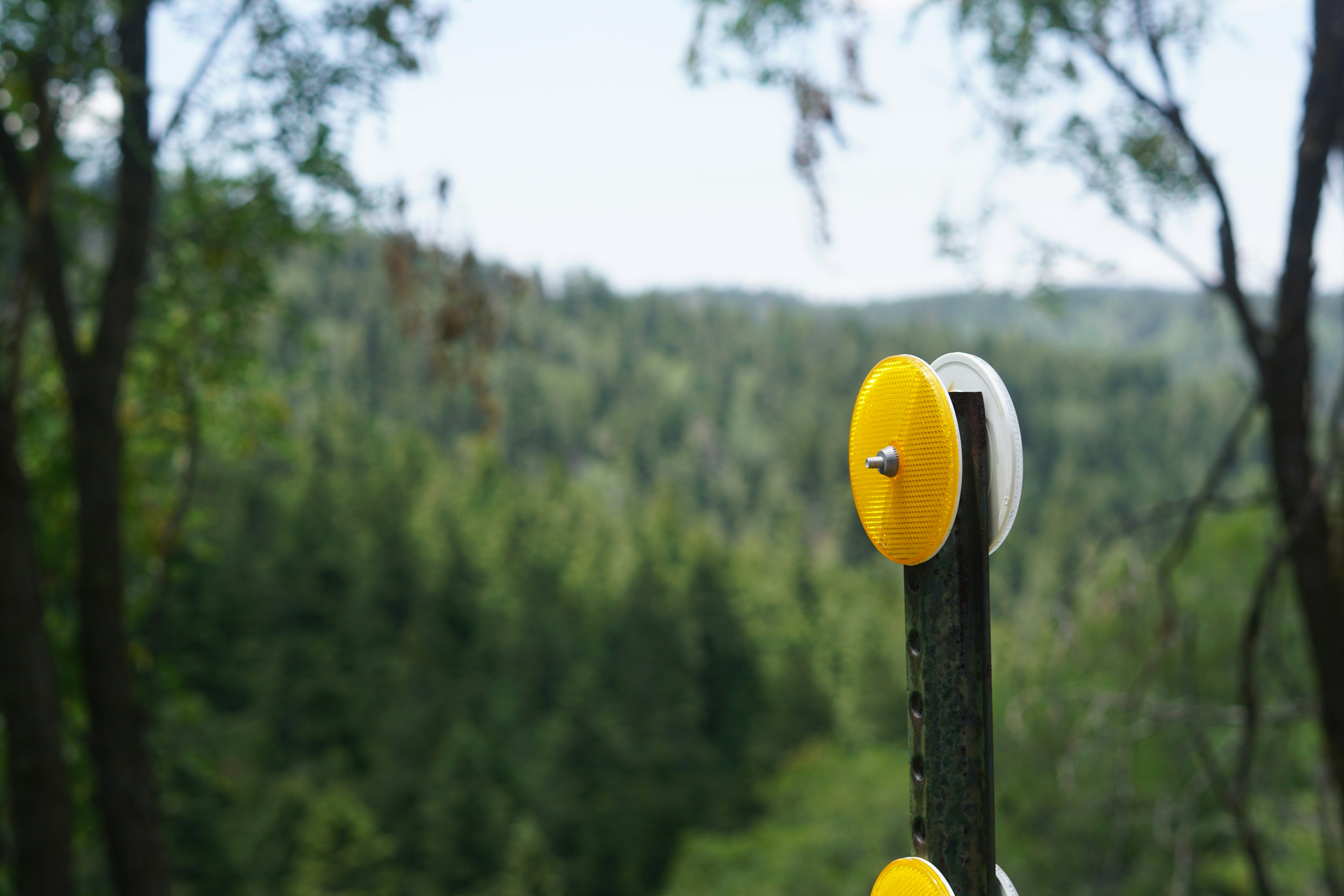 A couple of yellow and white clocks sitting on top of a wooden pole