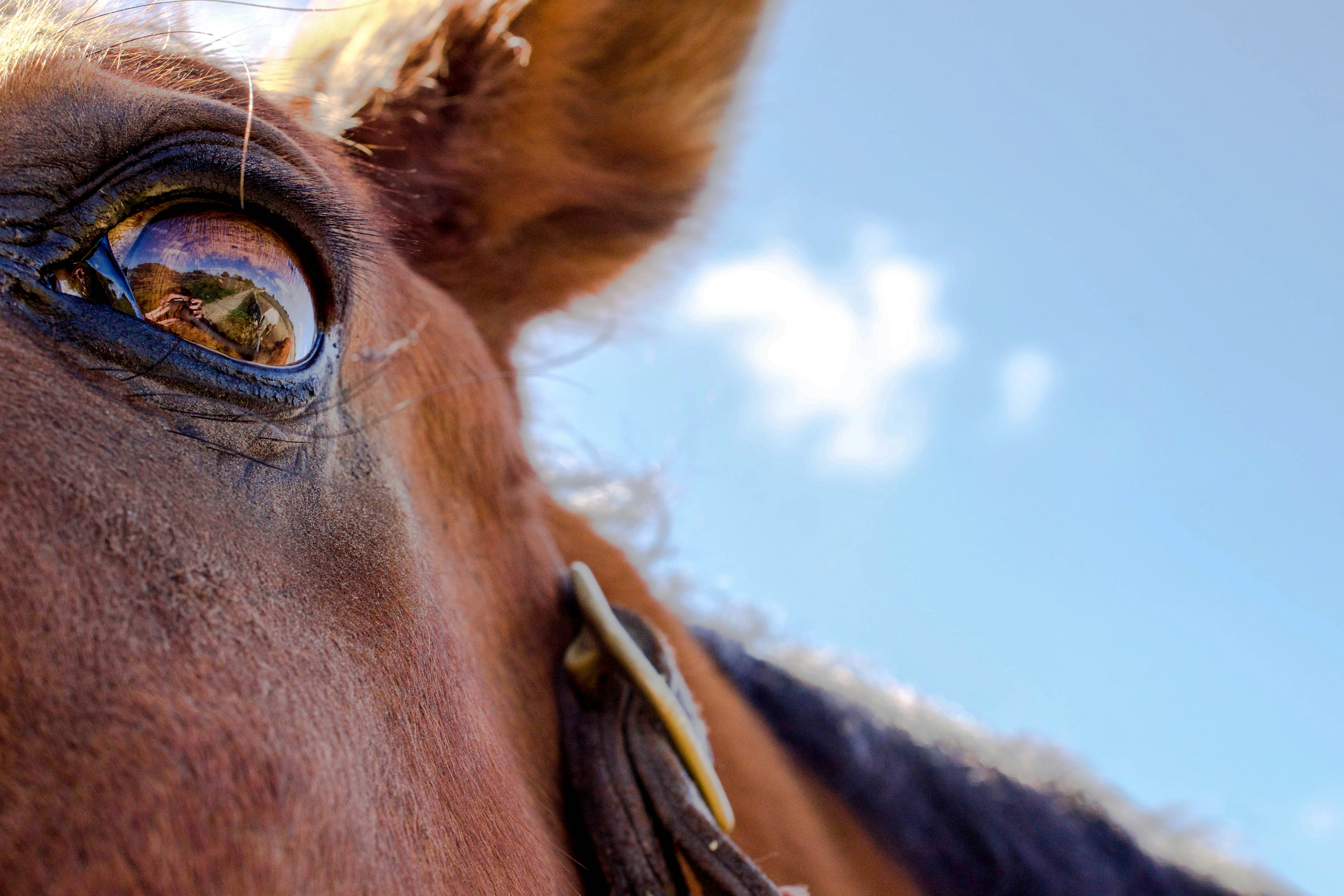 Photo by jordanfacin