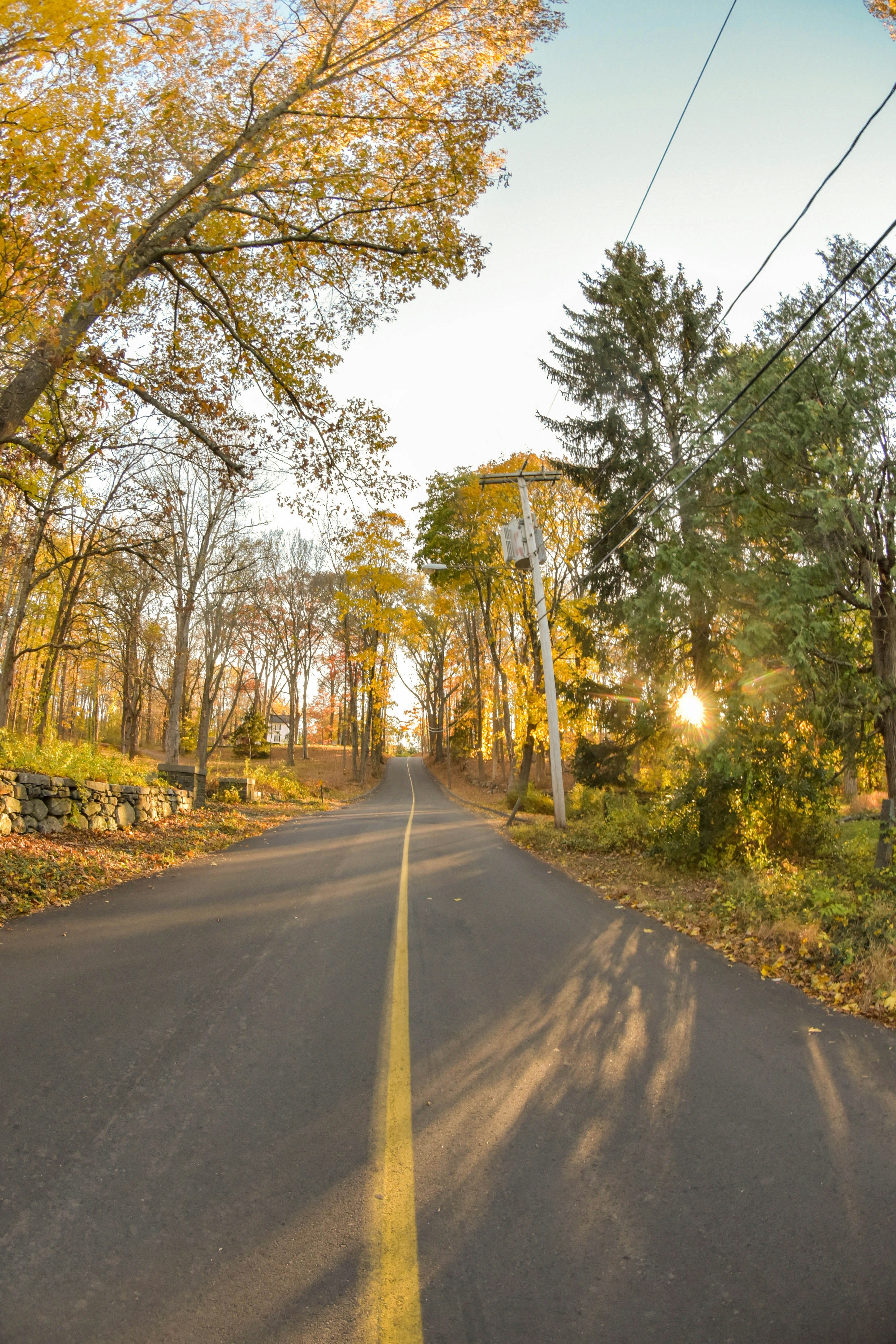 Photo by jordanfacin