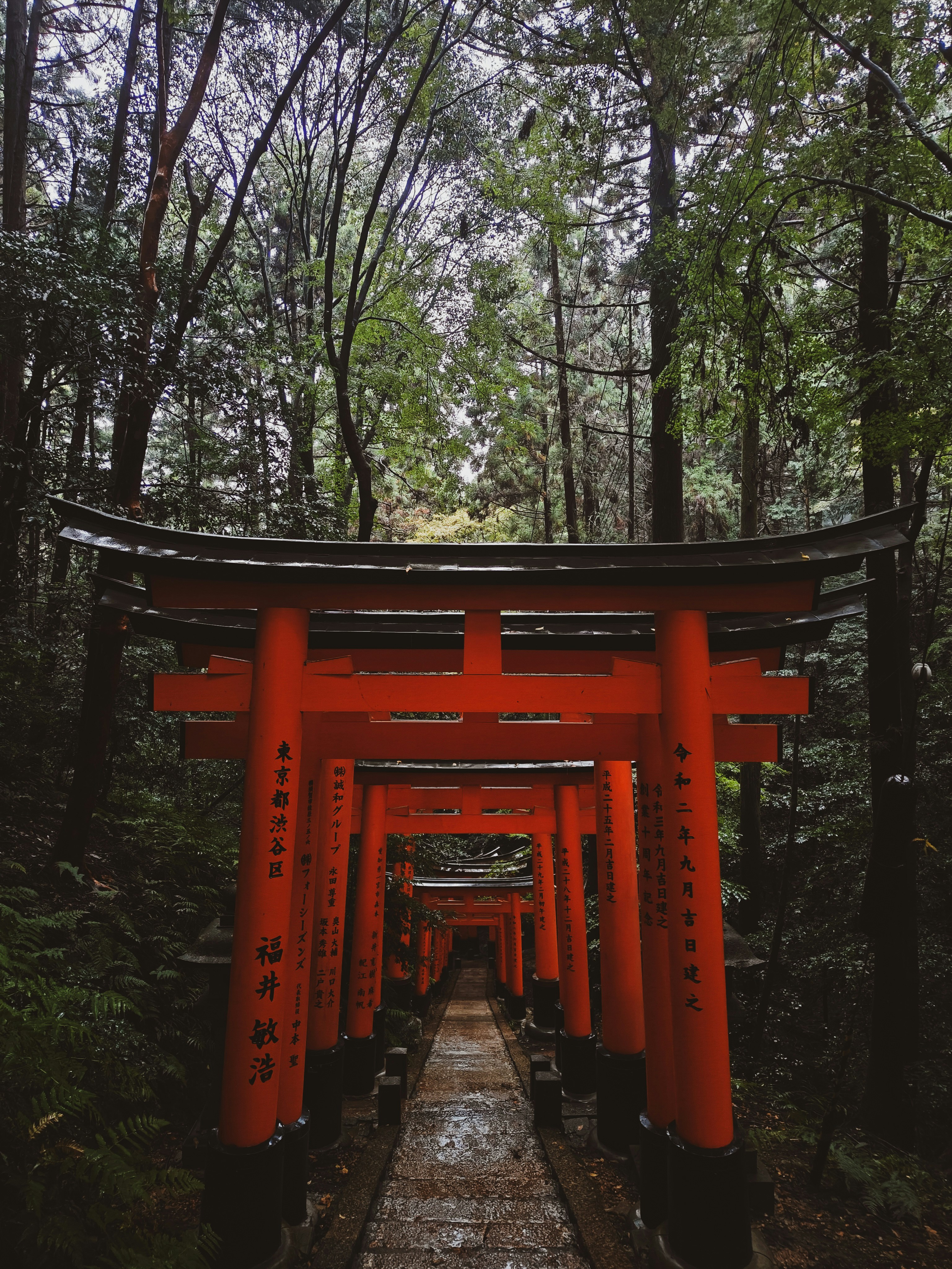 Photo by frequancytimespace